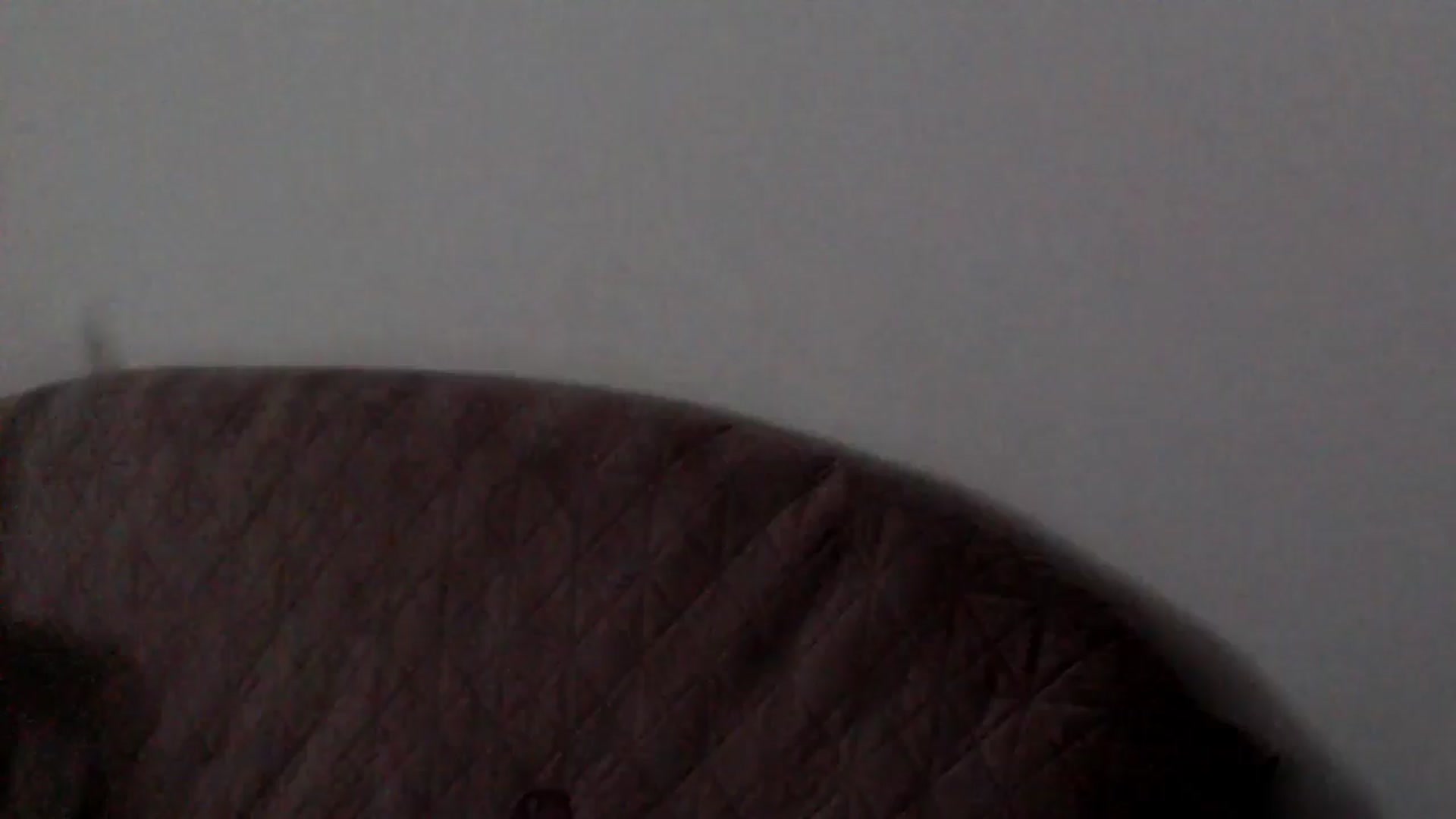 Gallery image thumbnail from YoungLexiSexy's myfreecams stream on, 05/05/2026, 09:34 image 18 of 20