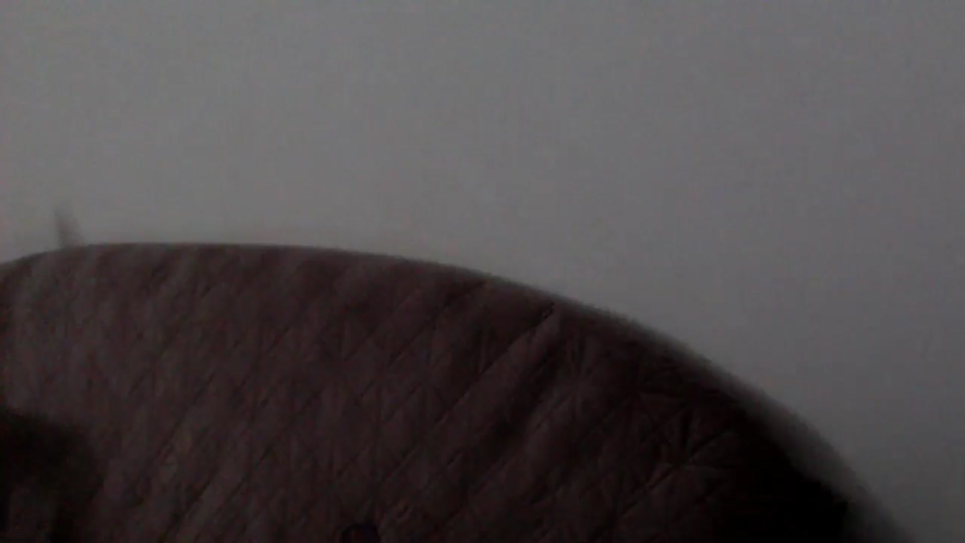 Gallery image thumbnail from YoungLexiSexy's myfreecams stream on, 05/05/2026, 09:34 image 16 of 20