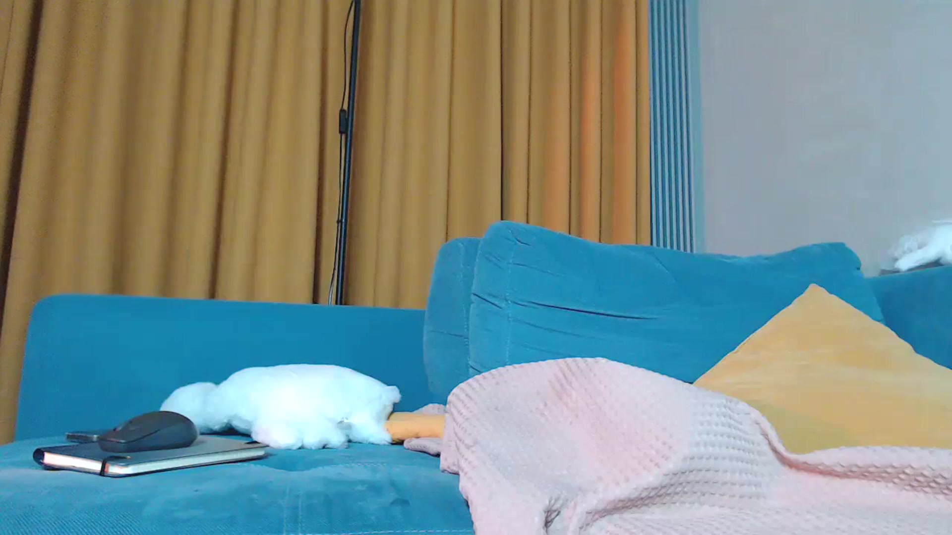 Gallery image thumbnail from YoungLilMary's myfreecams stream on, 08/31/2023, 03:03 image 20 of 20