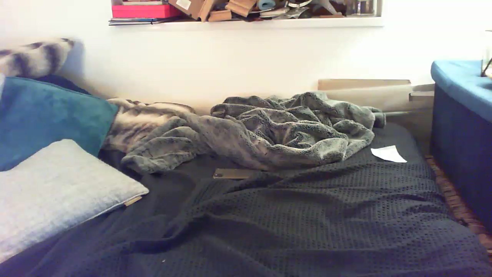 Gallery image thumbnail from YoungSlutx's myfreecams stream on, 12/09/2022, 02:30 image 9 of 20