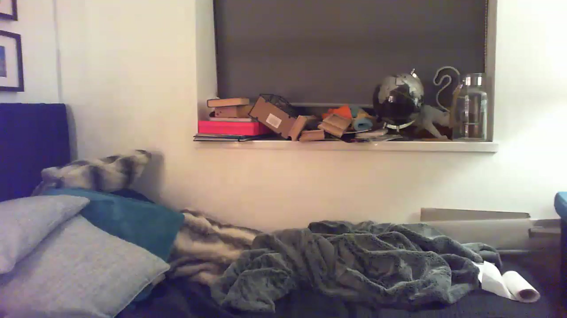 Gallery image thumbnail from YoungSlutx's myfreecams stream on, 12/09/2022, 02:30 image 3 of 20