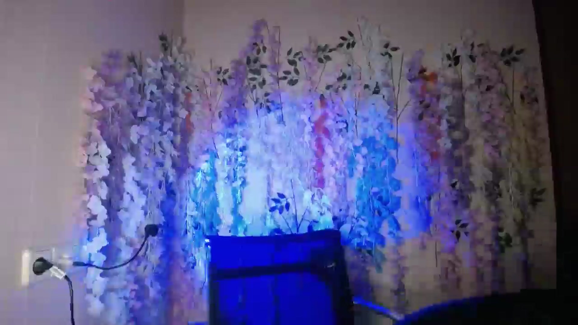 Gallery image thumbnail from Young_Evil's myfreecams stream on, 12/30/2025, 15:56 image 9 of 20