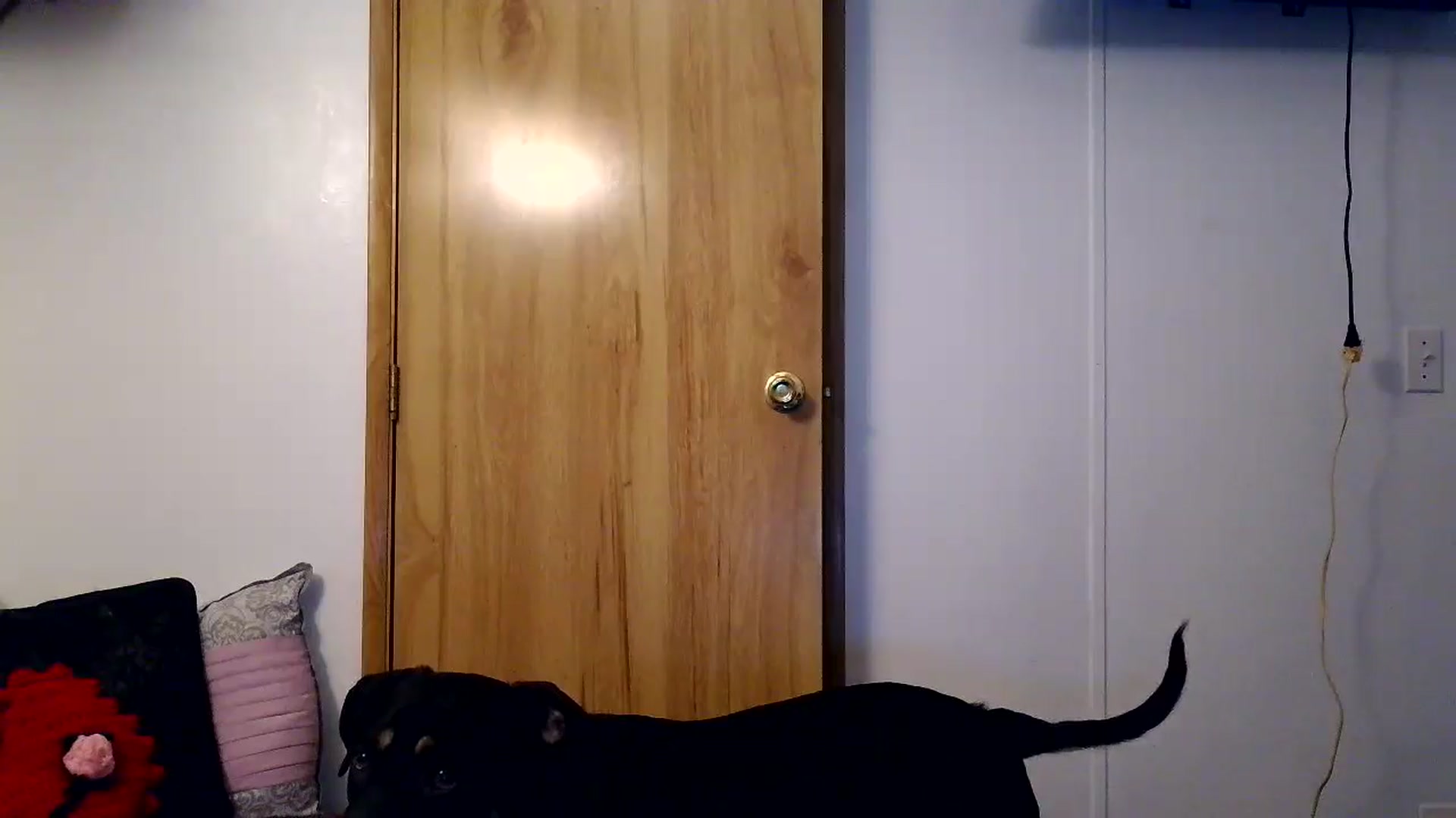 Gallery image thumbnail from YourCamSlut's myfreecams stream on, 01/07/2026, 08:07 image 12 of 20