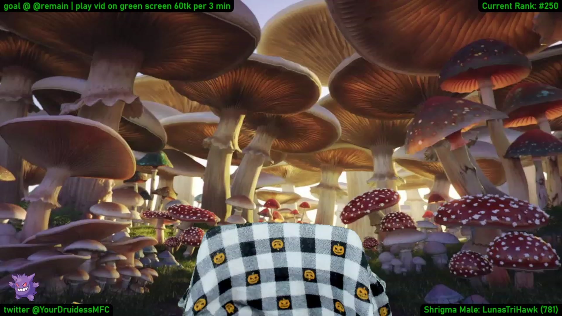 Gallery image thumbnail from YourDruidess's myfreecams stream on, 01/12/2023, 09:04 image 5 of 20