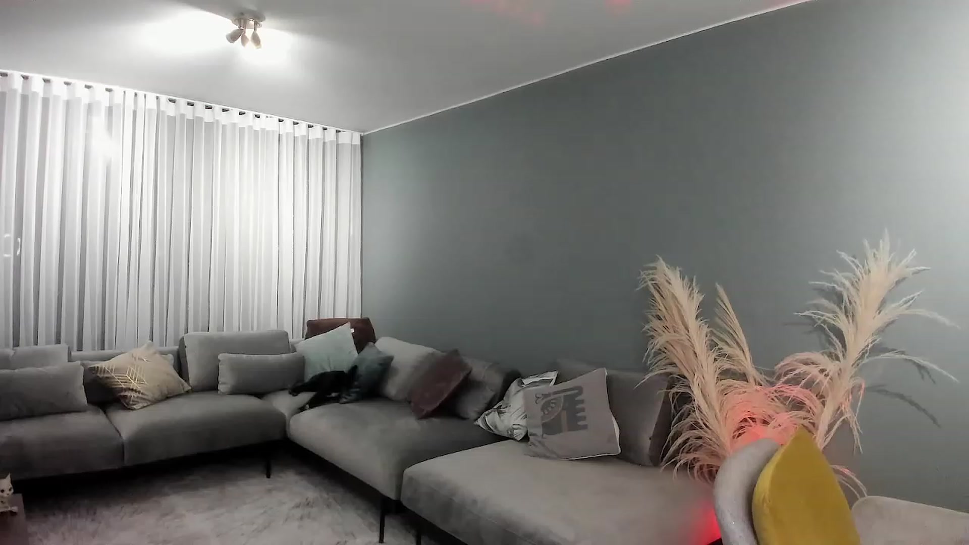 Gallery image thumbnail from YourFavGirl_'s myfreecams stream on, 02/03/2023, 02:32 image 16 of 20