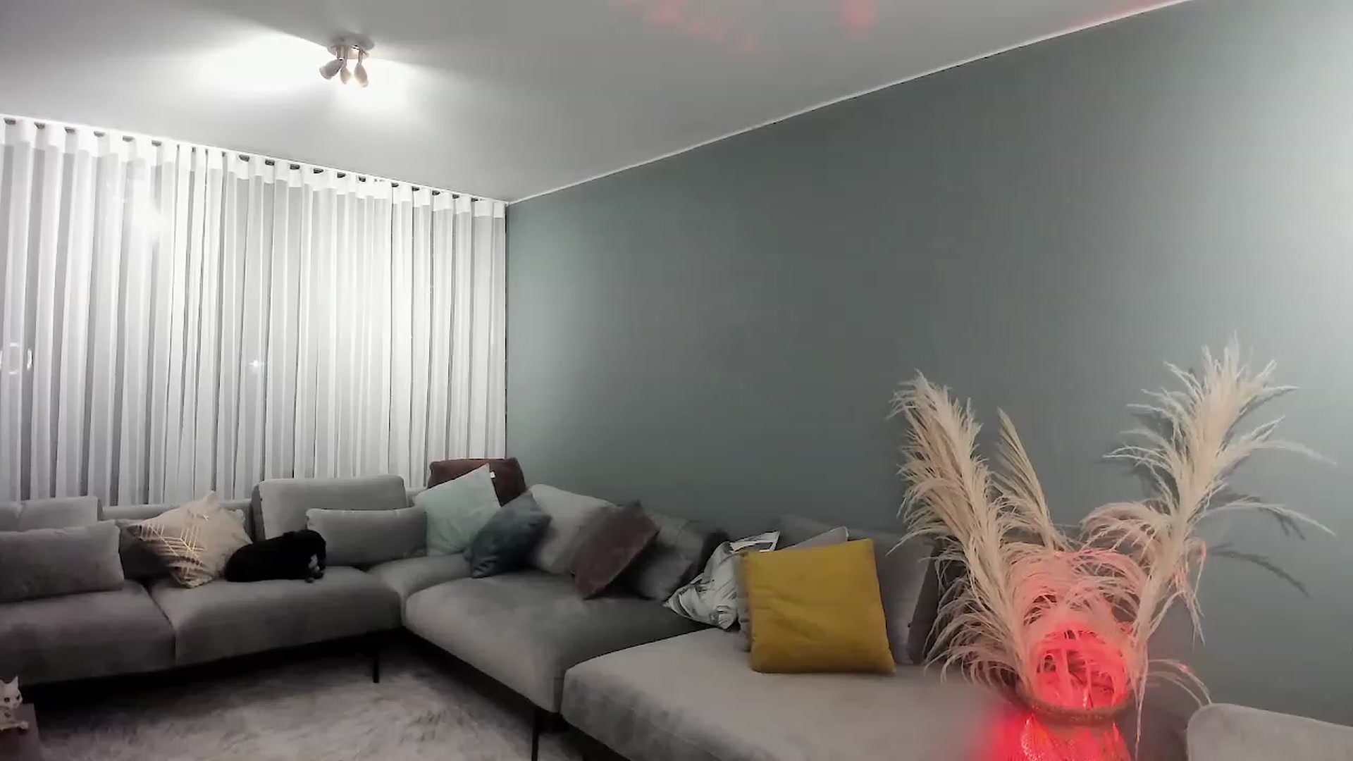 Gallery image thumbnail from YourFavGirl_'s myfreecams stream on, 02/03/2023, 02:32 image 1 of 20