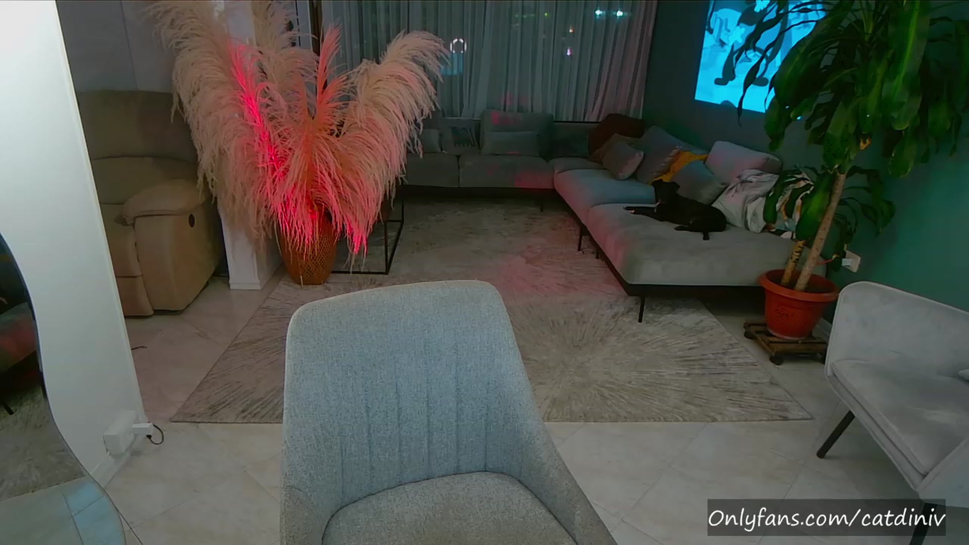 Gallery image thumbnail from YourFavGirl_'s myfreecams stream on, 07/29/2023, 01:59 image 1 of 20