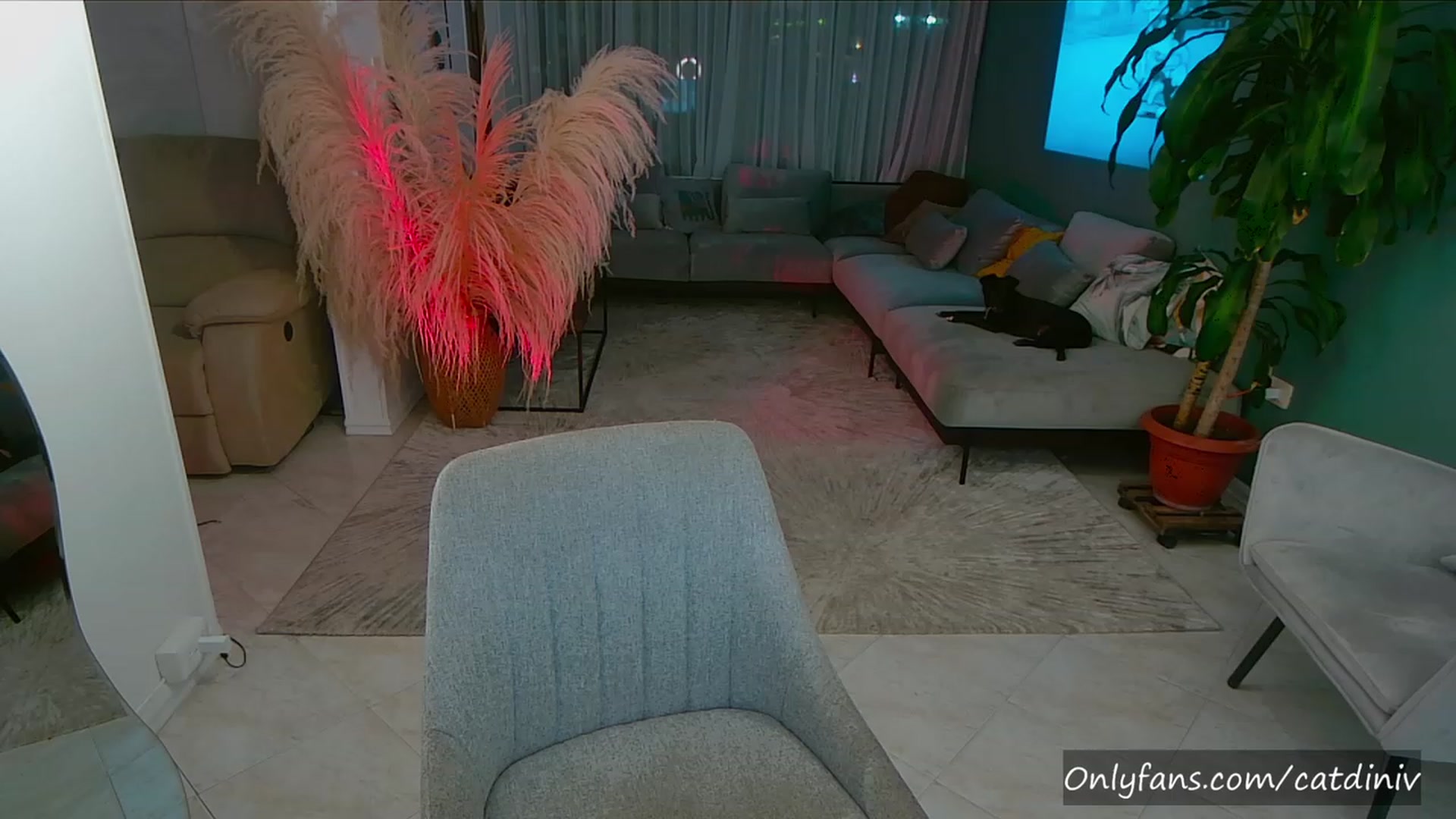 Gallery image thumbnail from YourFavGirl_'s myfreecams stream on, 07/29/2023, 01:59 image 3 of 20