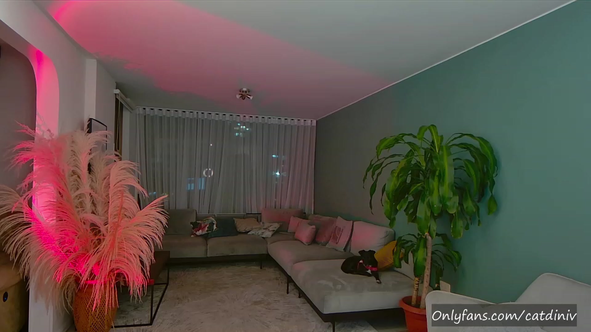 Gallery image thumbnail from YourFavGirl_'s myfreecams stream on, 08/03/2023, 03:17 image 14 of 20