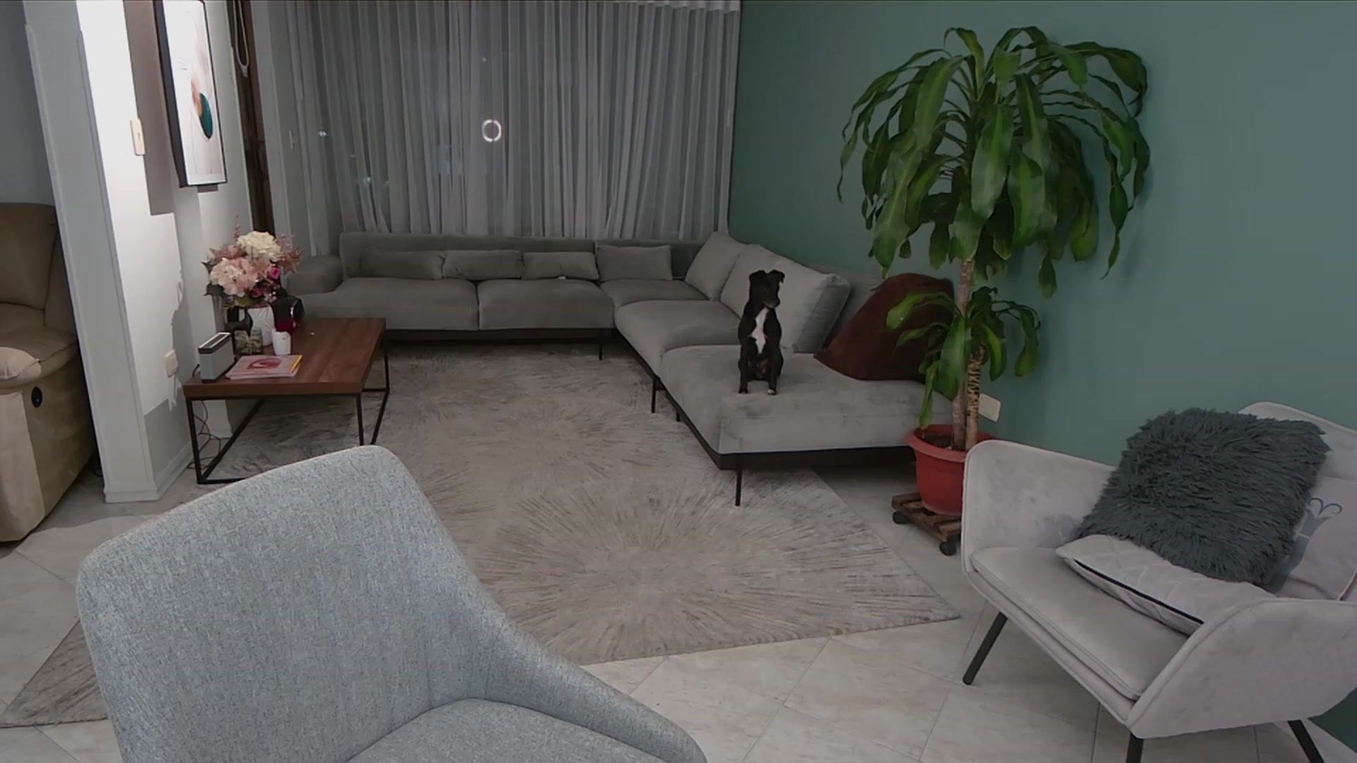 Gallery image thumbnail from YourFavGirl_'s myfreecams stream on, 08/21/2023, 04:10 image 6 of 20