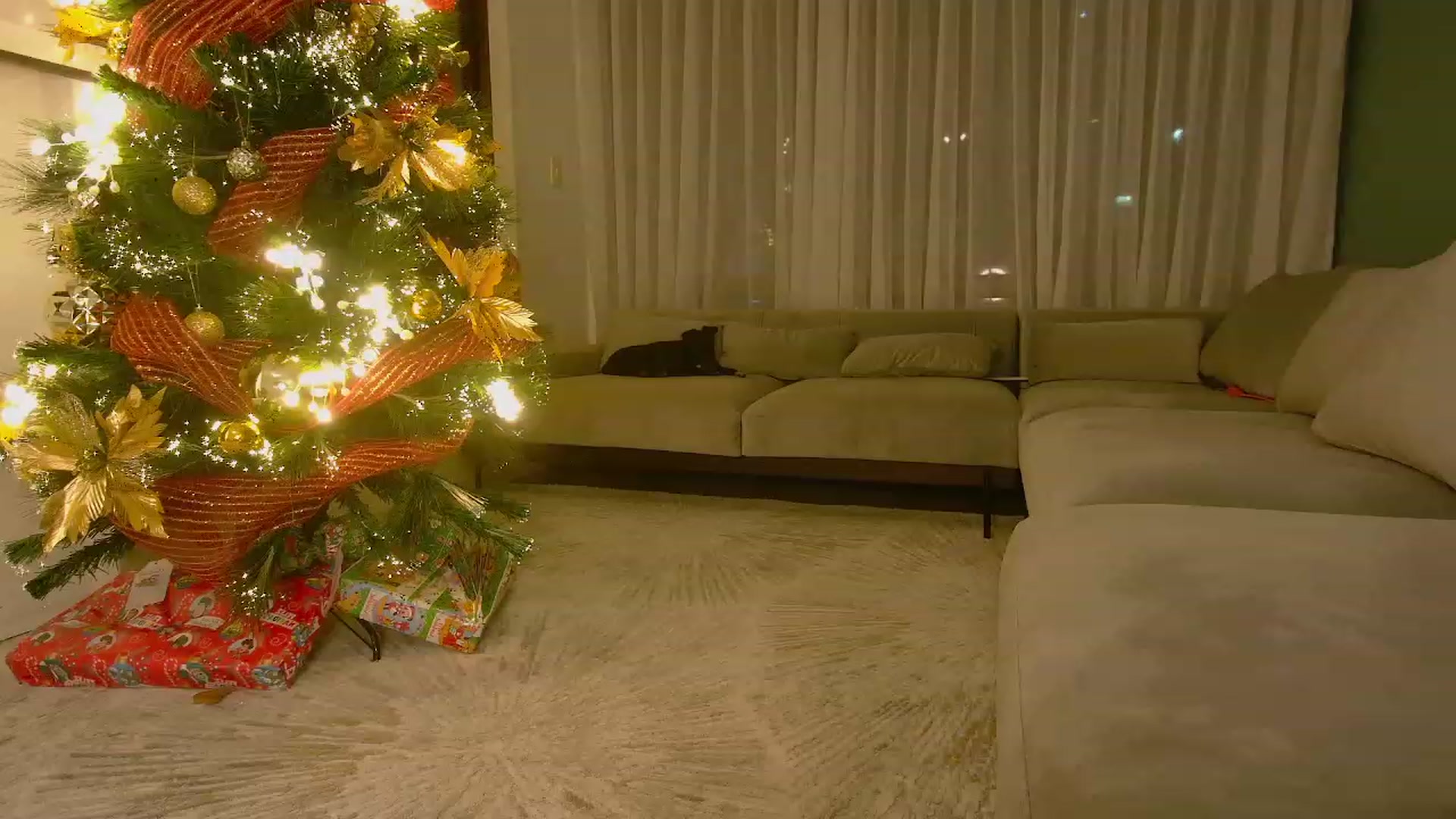 Gallery image thumbnail from YourFavGirl_'s myfreecams stream on, 12/15/2023, 05:50 image 15 of 20