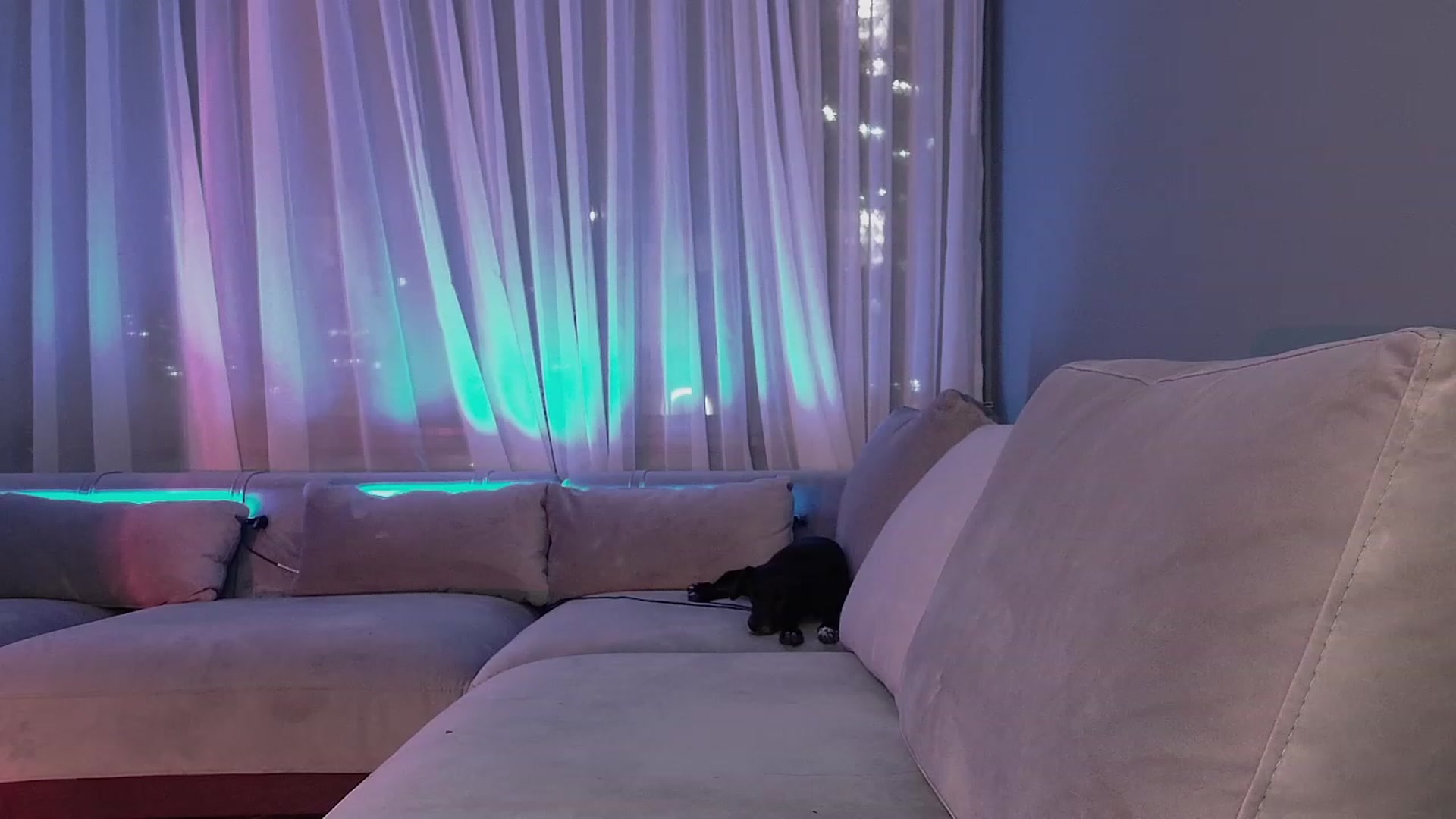 Gallery image thumbnail from YourFavGirl_'s myfreecams stream on, 01/21/2024, 24:01 image 3 of 20