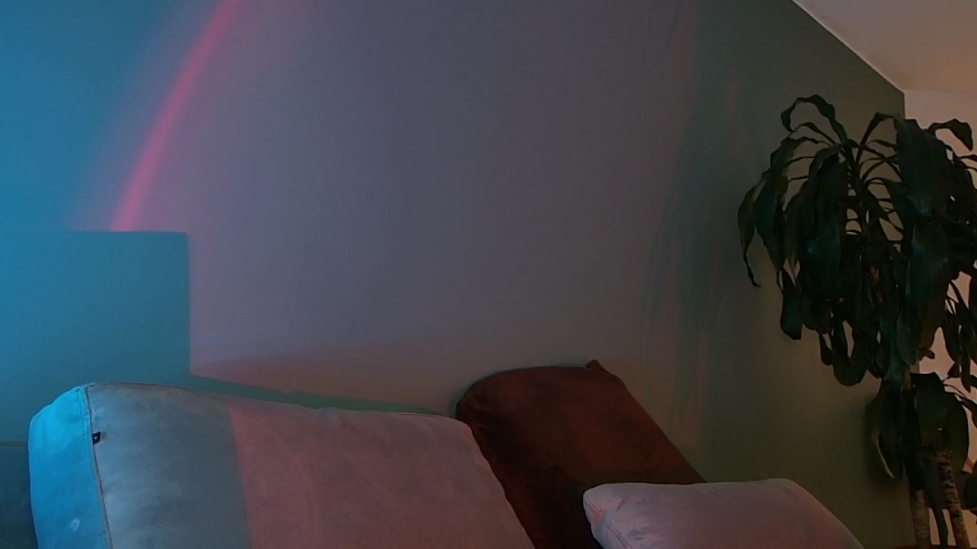 Gallery image thumbnail from YourFavGirl_'s myfreecams stream on, 02/09/2024, 05:01 image 19 of 20