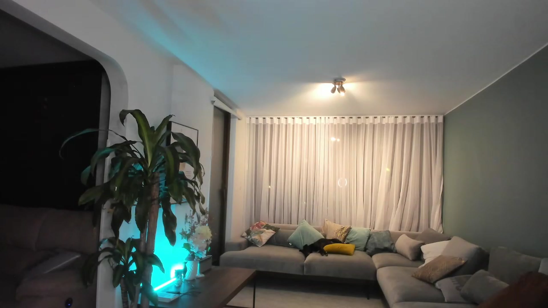 Gallery image thumbnail from YourFavPeach's myfreecams stream on, 01/14/2023, 04:01 image 16 of 20