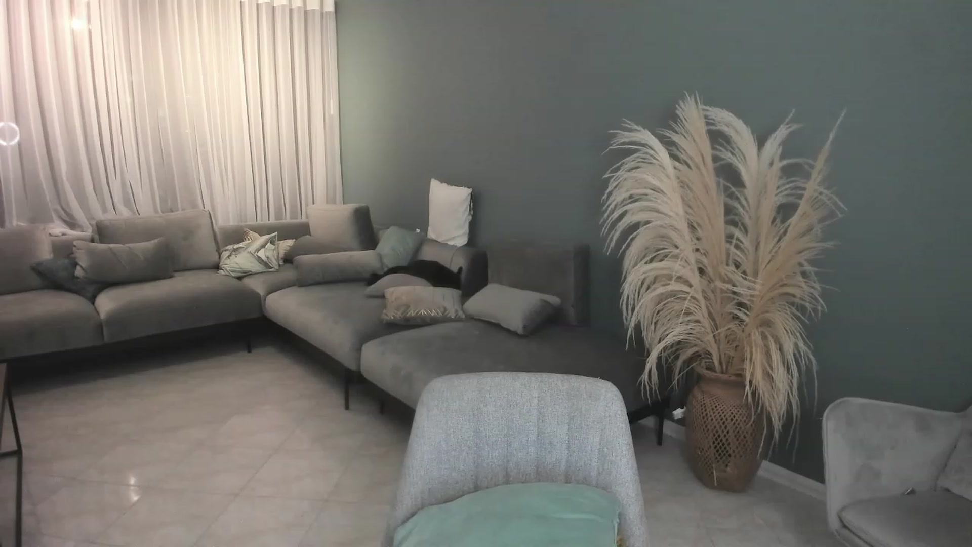 Gallery image thumbnail from YourFavPeach's myfreecams stream on, 01/19/2023, 03:25 image 5 of 20