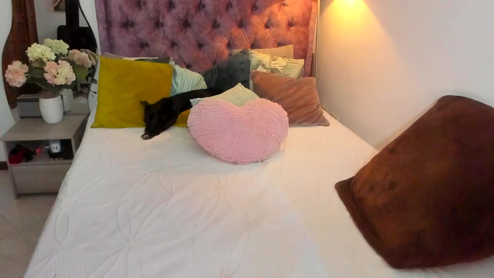 Gallery image thumbnail from YourFavWifey_'s myfreecams stream on, 06/21/2024, 05:03 image 7 of 20