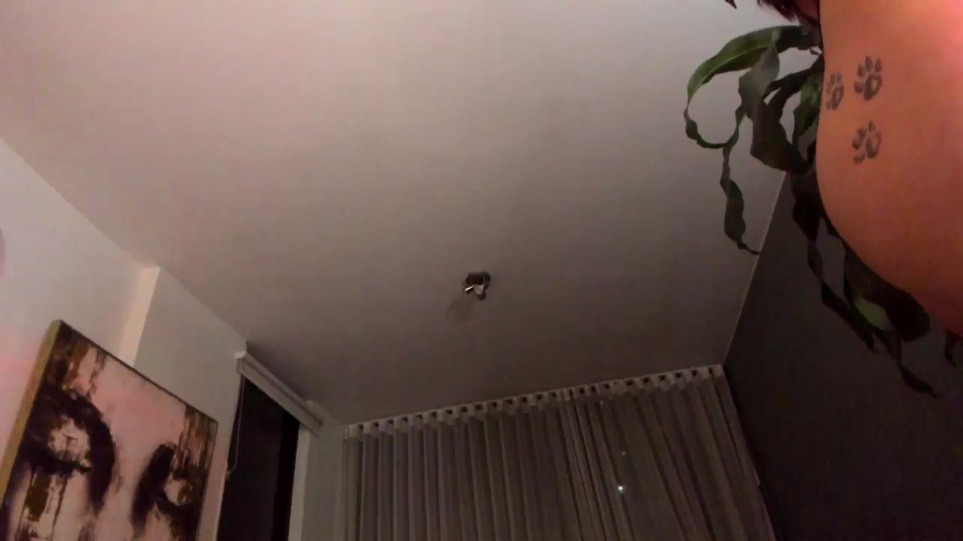 Gallery image thumbnail from YourFavWifey_'s myfreecams stream on, 07/10/2024, 04:56 image 8 of 20