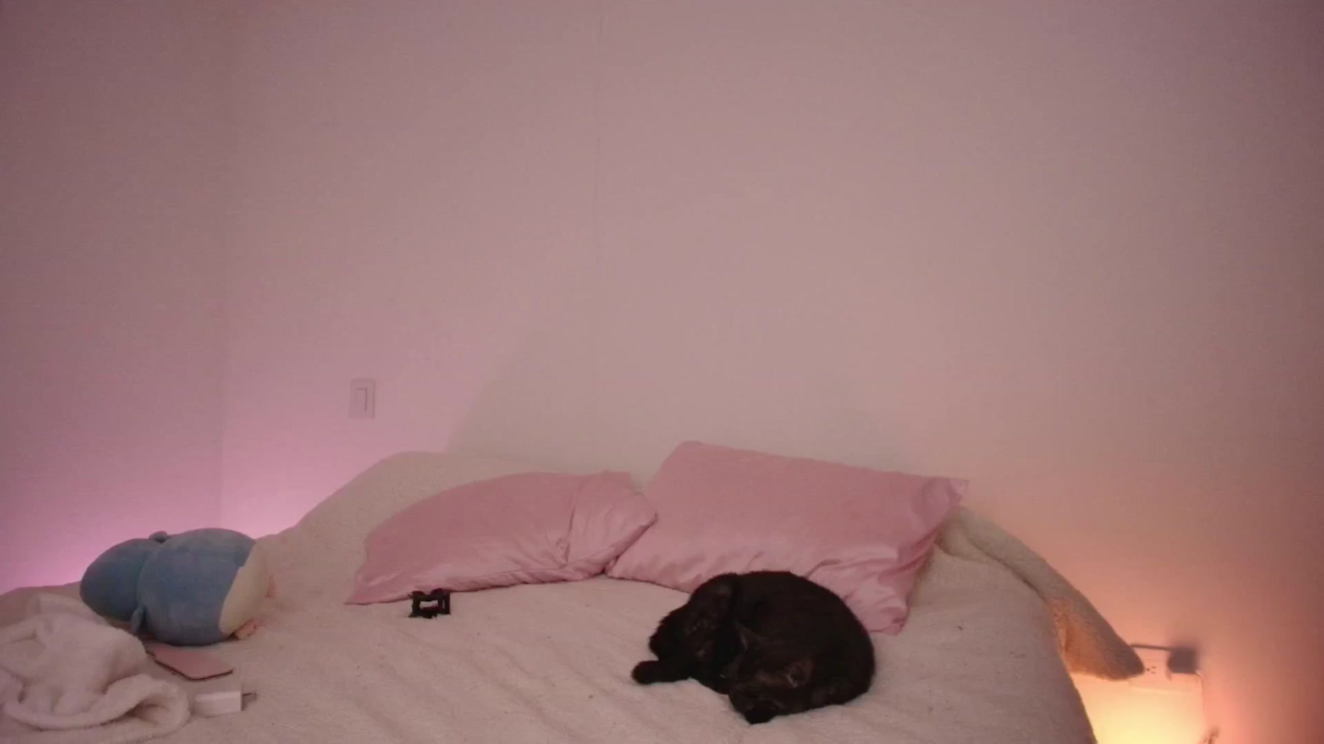 Gallery image thumbnail from YourFavorita's myfreecams stream on, 04/23/2026, 24:02 image 10 of 20