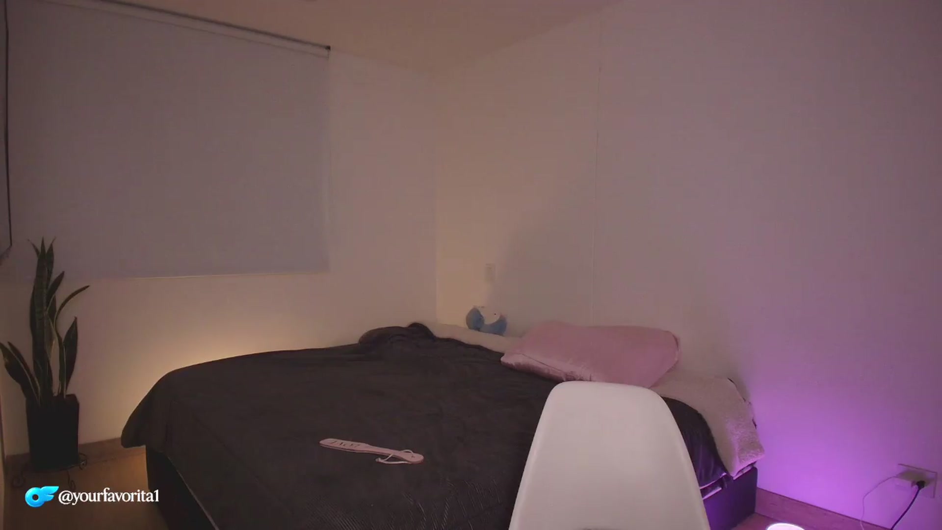 Gallery image thumbnail from YourFavorita's myfreecams stream on, 08/11/2026, 03:00 image 12 of 20
