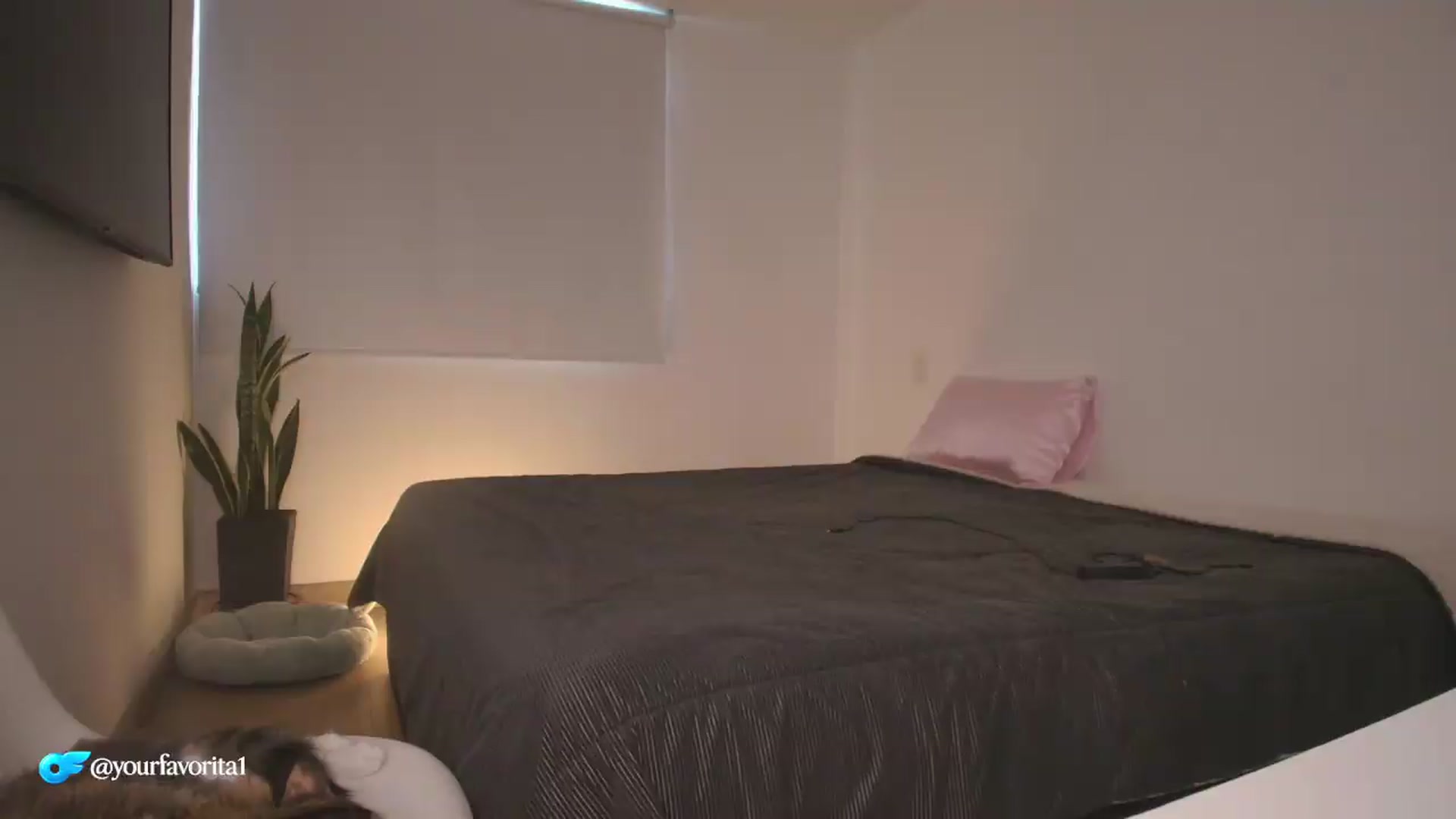 Gallery image thumbnail from YourFavorita's myfreecams stream on, 08/14/2026, 14:00 image 14 of 20