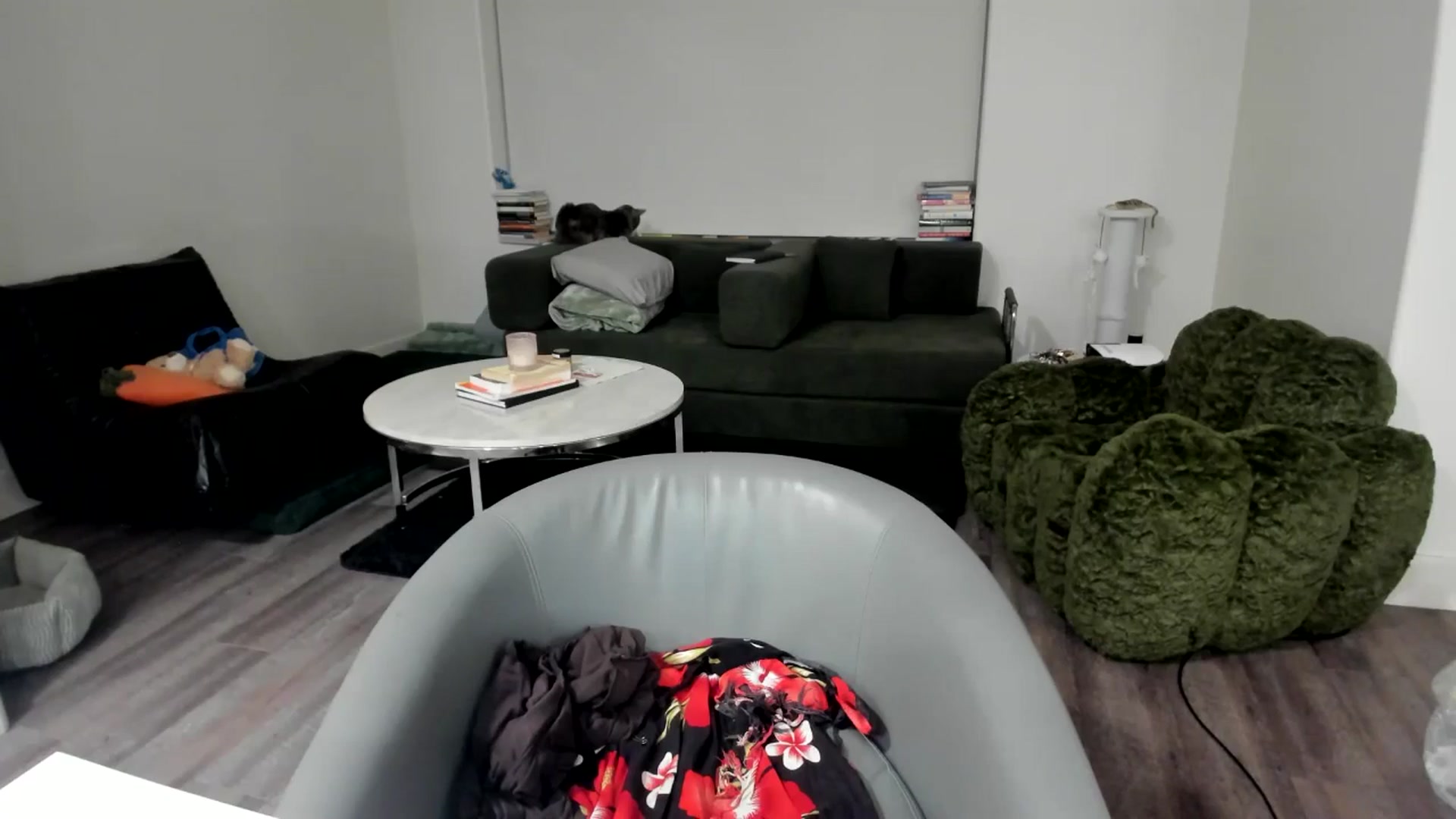 Gallery image thumbnail from YourGoddessLu's myfreecams stream on, 11/11/2025, 02:10 image 16 of 20
