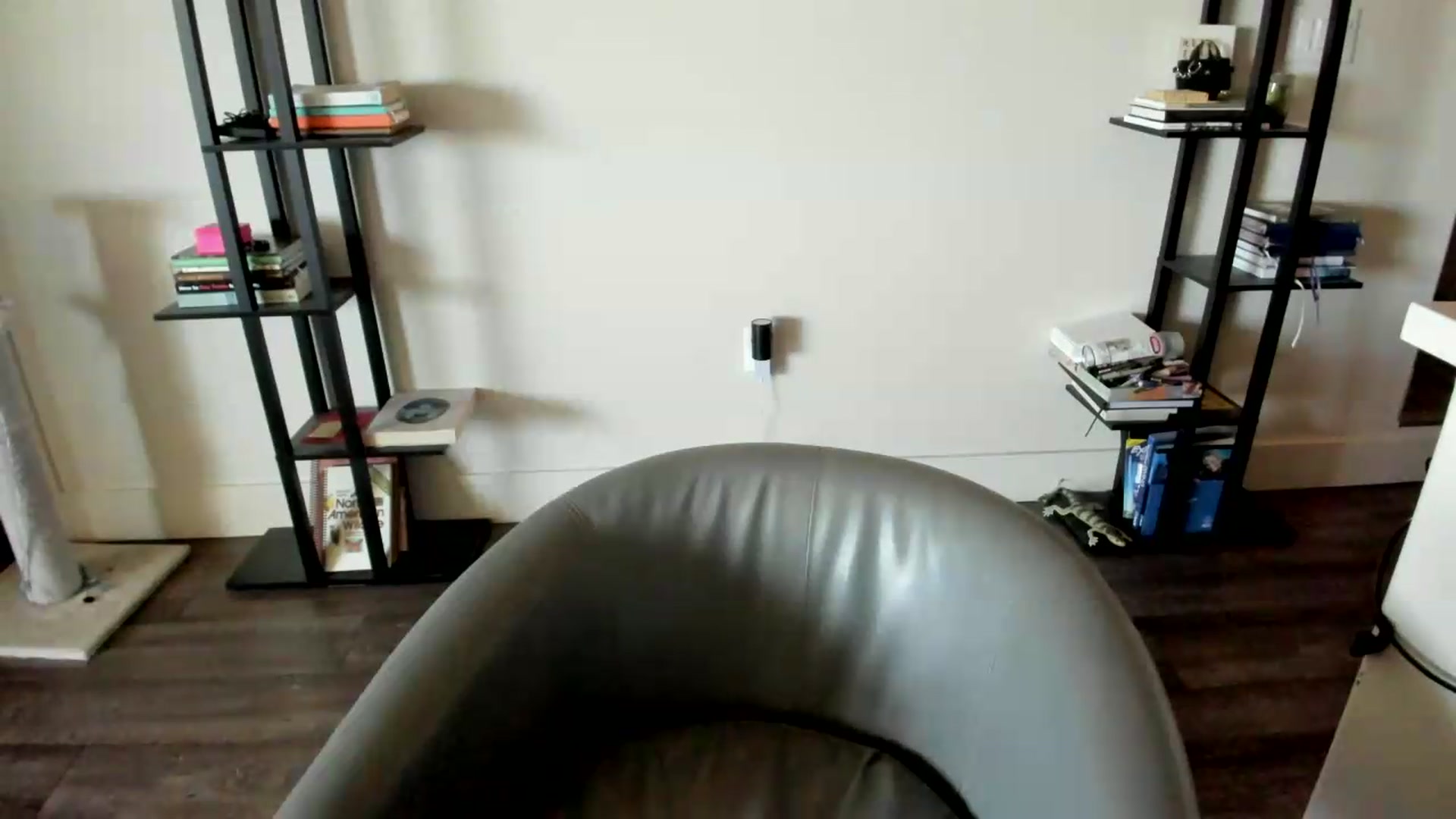 Gallery image thumbnail from YourGoddessLu's myfreecams stream on, 05/01/2026, 20:01 image 9 of 20