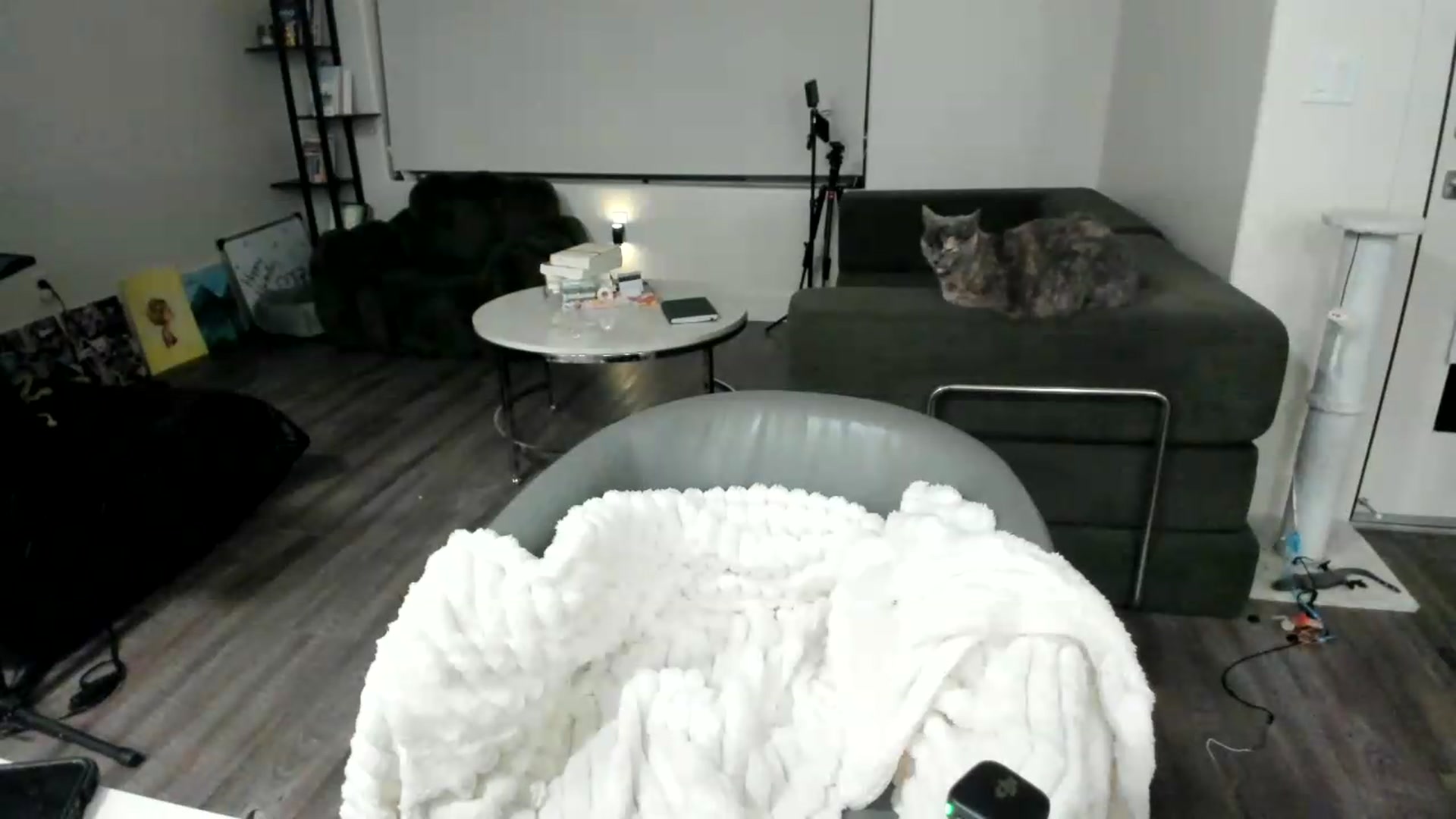 Gallery image thumbnail from YourGoddessLu's myfreecams stream on, 05/30/2026, 08:03 image 7 of 20