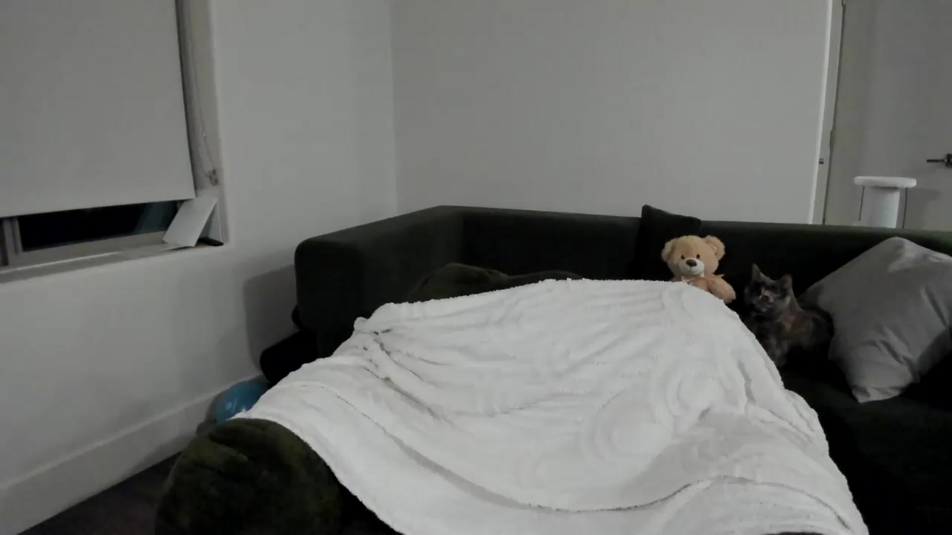 Gallery image thumbnail from YourGoddessLu's myfreecams stream on, 06/06/2026, 04:18 image 15 of 20
