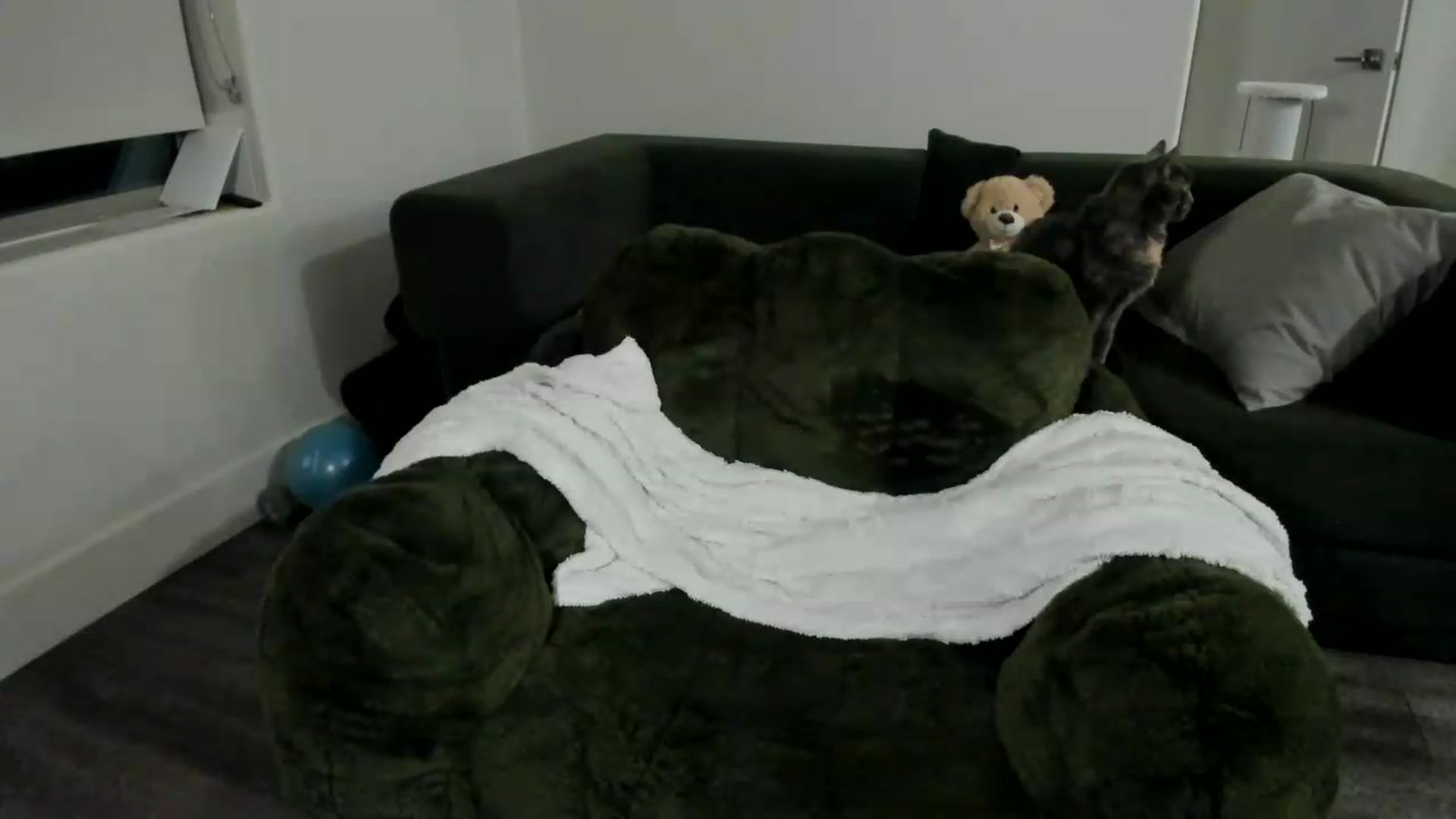 Gallery image thumbnail from YourGoddessLu's myfreecams stream on, 06/06/2026, 05:45 image 6 of 20