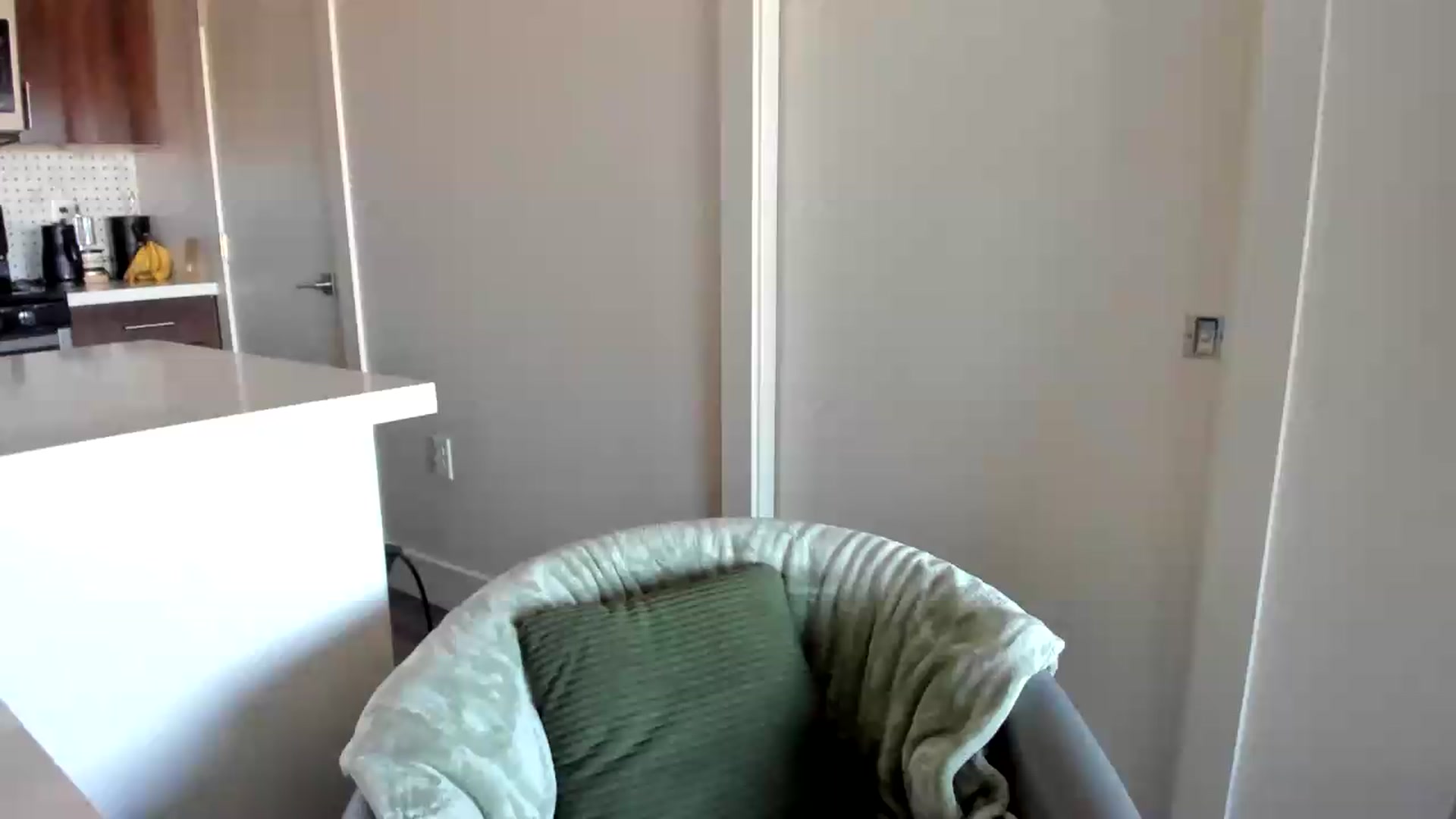Gallery image thumbnail from YourGoddessLu's myfreecams stream on, 07/01/2026, 01:24 image 9 of 20