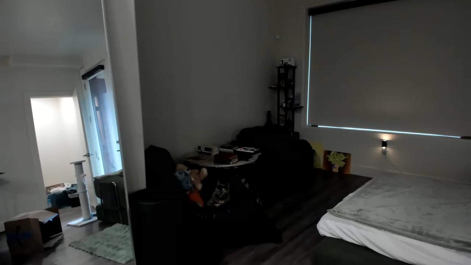 Gallery image thumbnail from YourGoddessLu's myfreecams stream on, 08/15/2026, 24:32 image 18 of 20