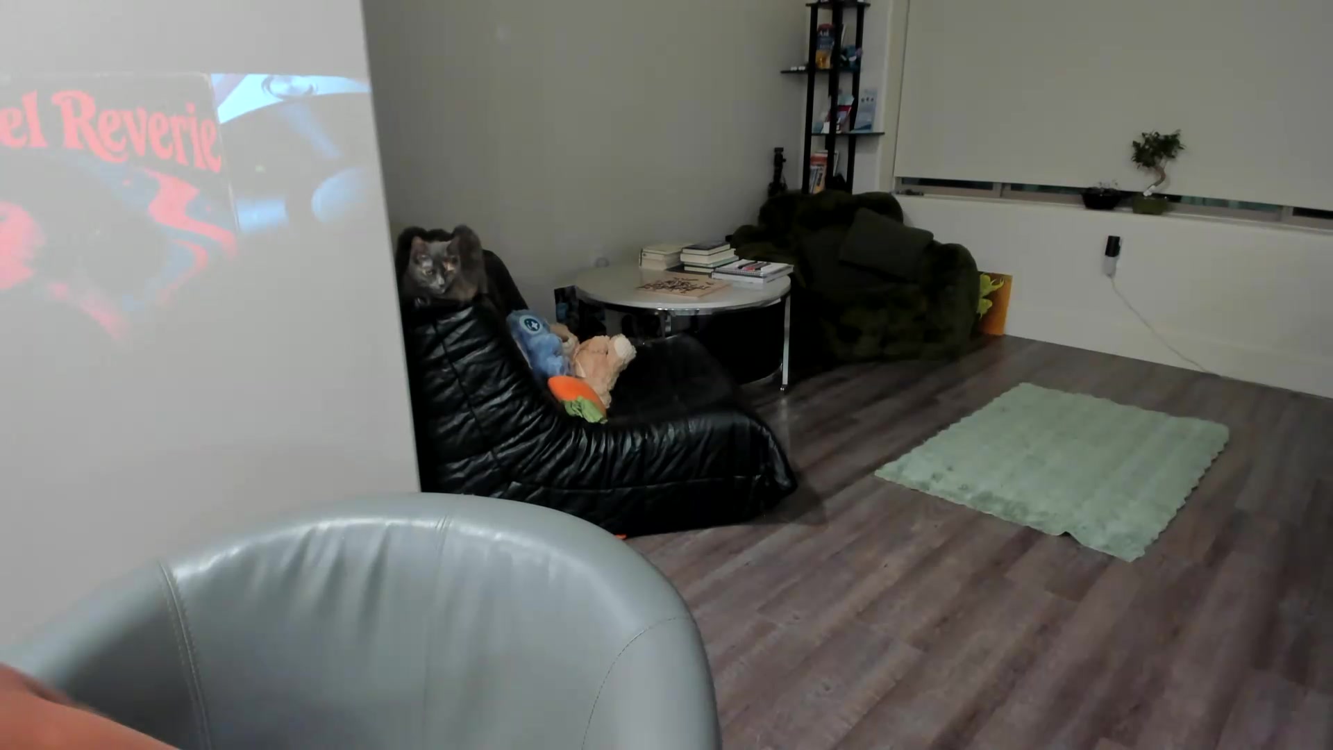 Gallery image thumbnail from YourGoddessLu's myfreecams stream on, 08/20/2026, 04:05 image 18 of 20
