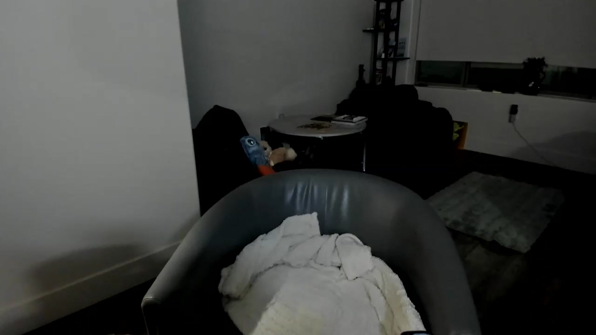 Gallery image thumbnail from YourGoddessLu's myfreecams stream on, 08/21/2026, 05:08 image 2 of 20