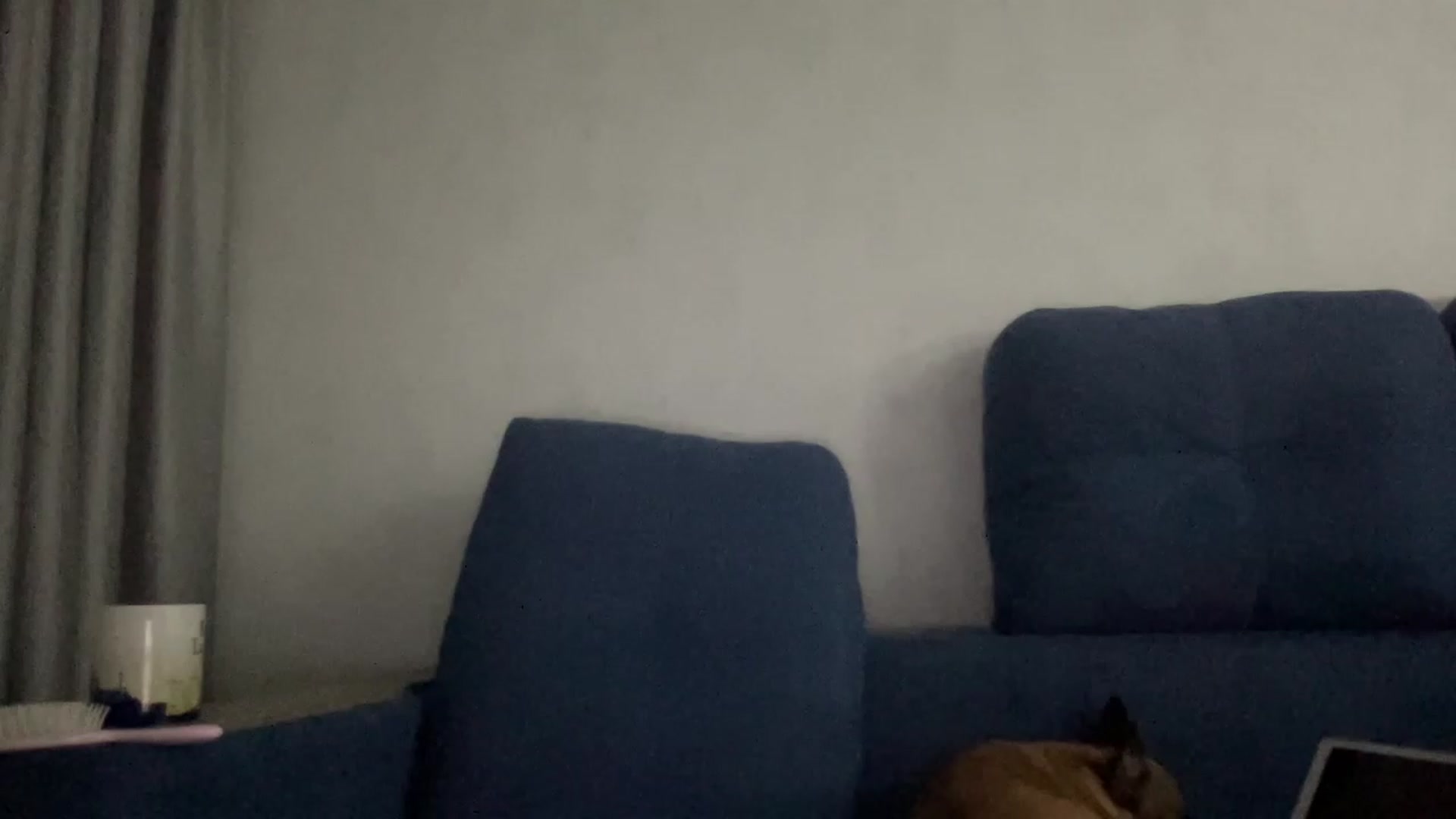 Gallery image thumbnail from YourPlaymate_'s myfreecams stream on, 03/30/2023, 22:13 image 13 of 20