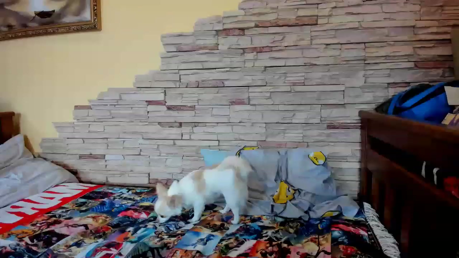 Gallery image thumbnail from YourPupsik's myfreecams stream on, 06/12/2023, 11:39 image 9 of 20