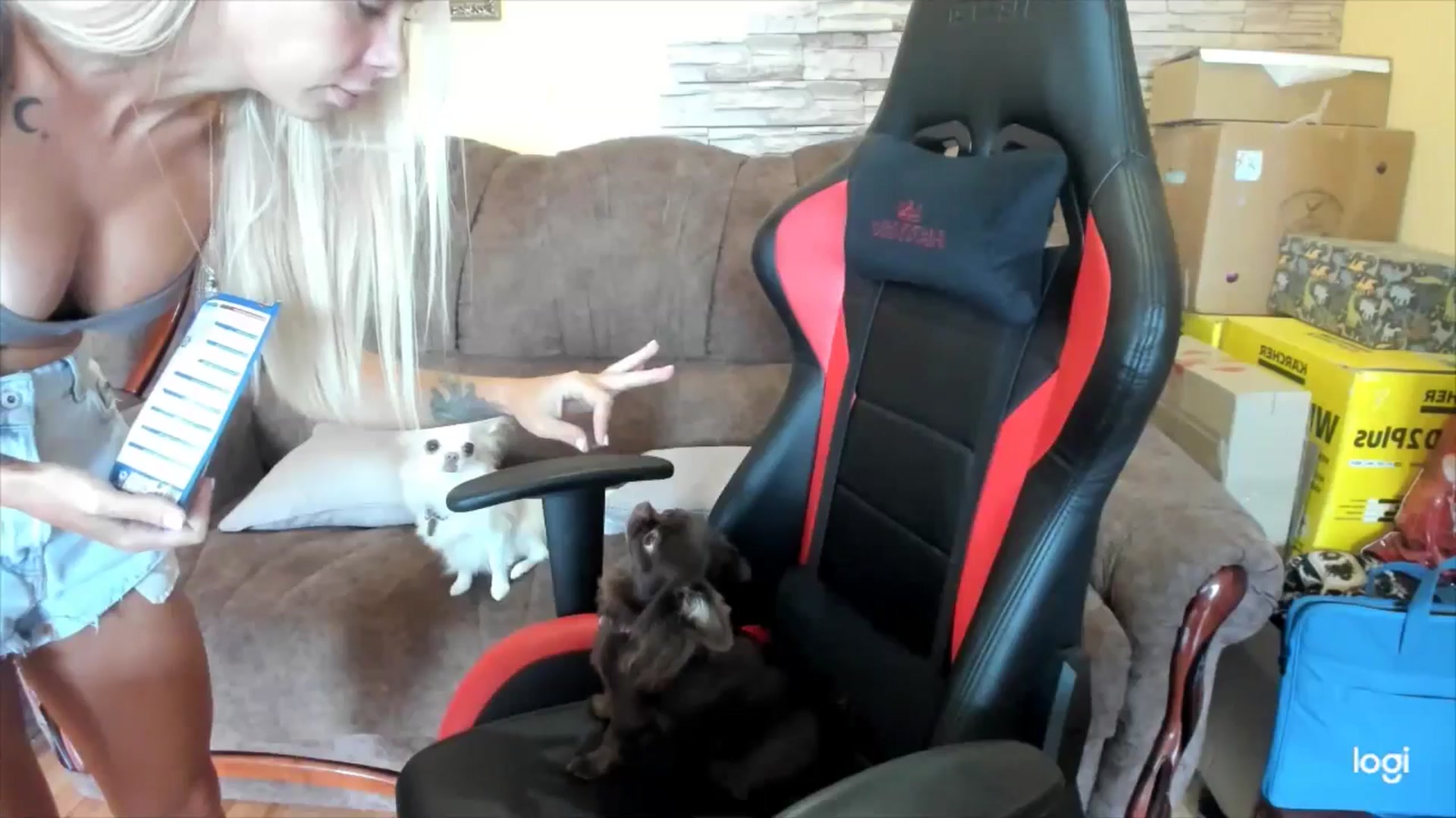 Gallery image thumbnail from YourPupsik's myfreecams stream on, 09/12/2025, 09:31 image 16 of 20