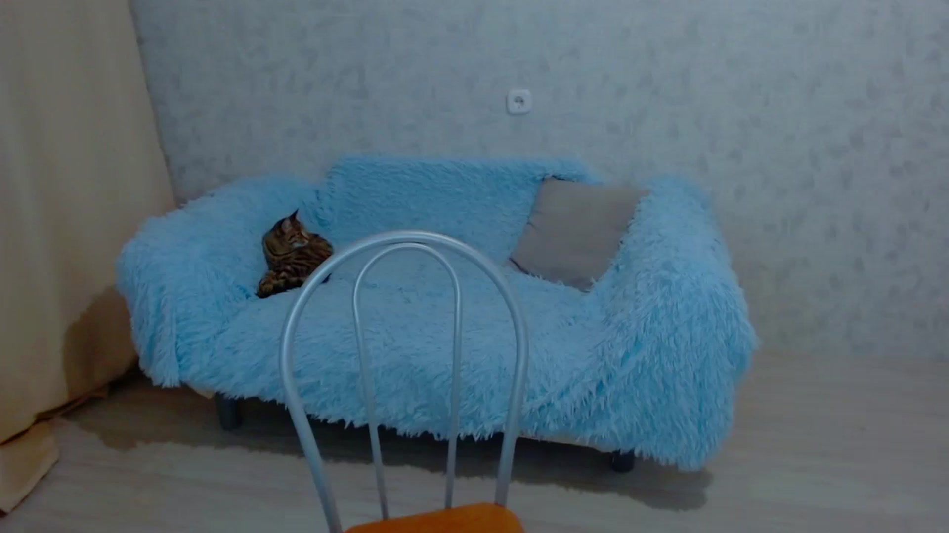 Gallery image thumbnail from Your_heart00's myfreecams stream on, 09/17/2023, 17:57 image 15 of 20