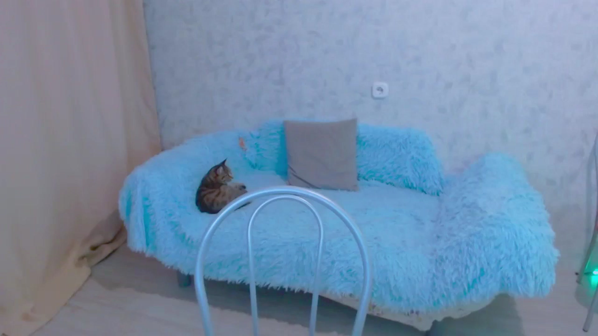 Gallery image thumbnail from Your_heart00's myfreecams stream on, 09/23/2023, 14:43 image 8 of 20