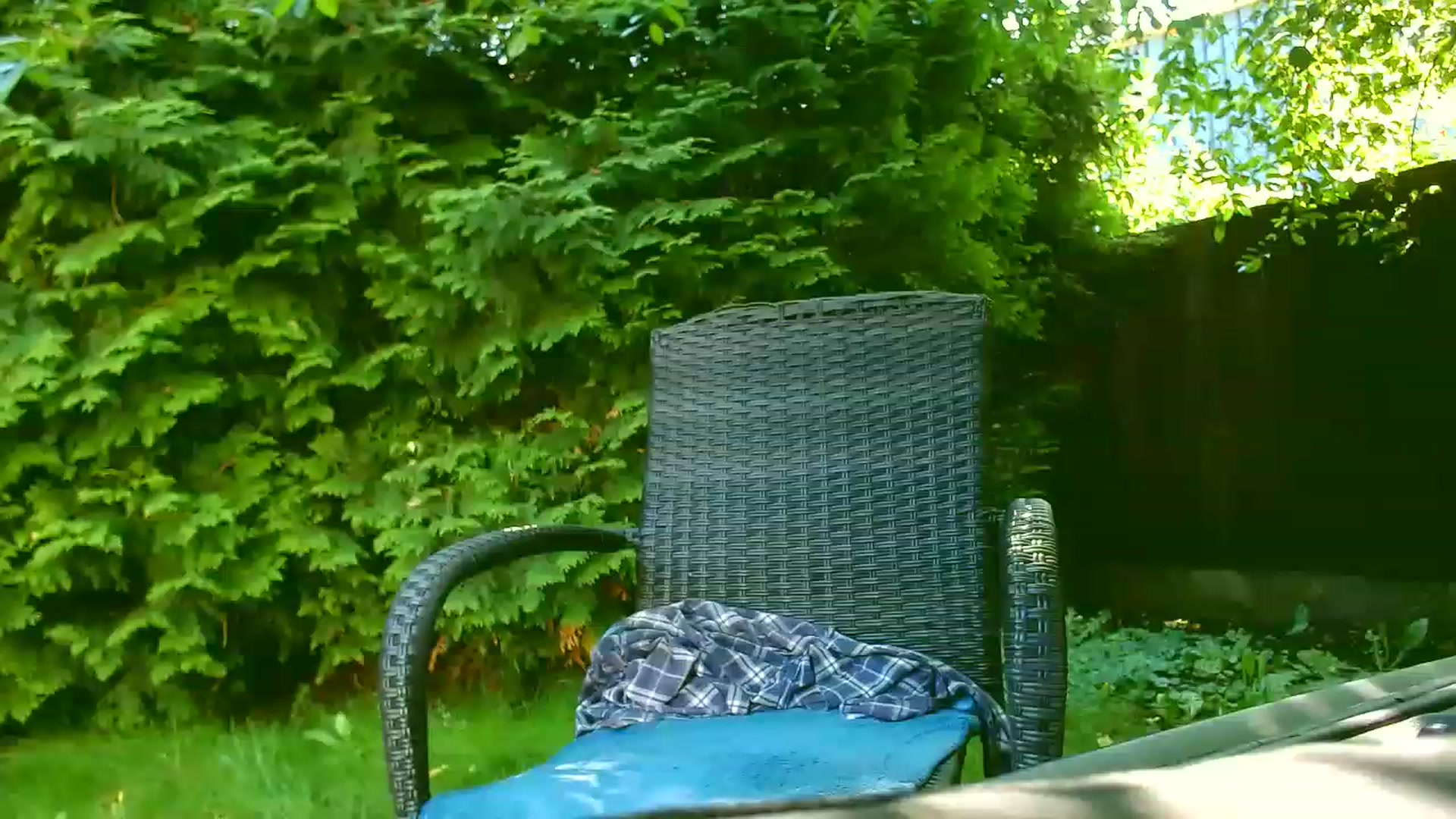 Gallery image thumbnail from YourguiltyPus's myfreecams stream on, 06/27/2023, 08:45 image 9 of 20