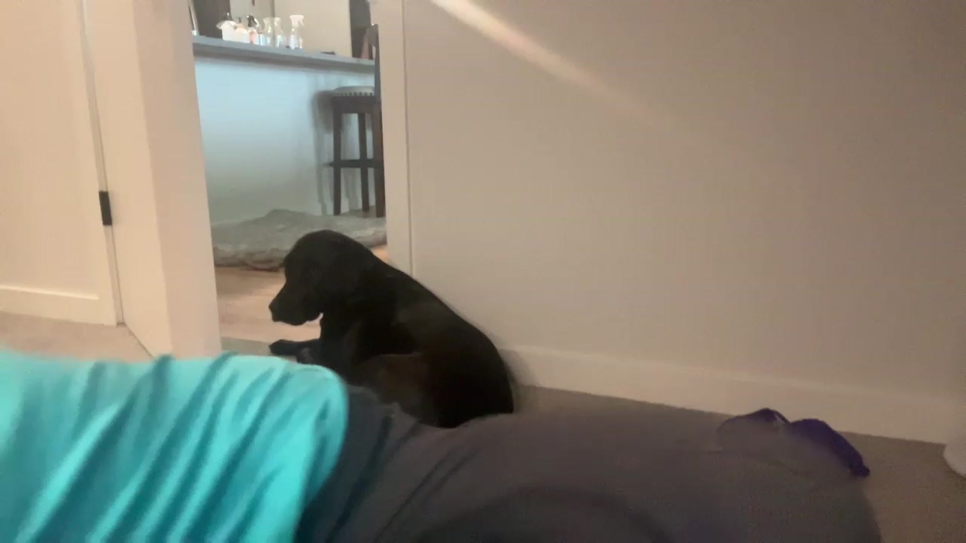 Gallery image thumbnail from Youronlinegf's myfreecams stream on, 04/25/2023, 22:33 image 13 of 20
