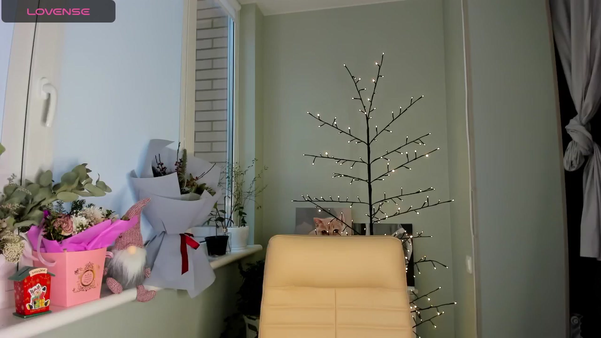 Gallery image thumbnail from Yours_Sonya's myfreecams stream on, 12/25/2024, 12:44 image 6 of 20