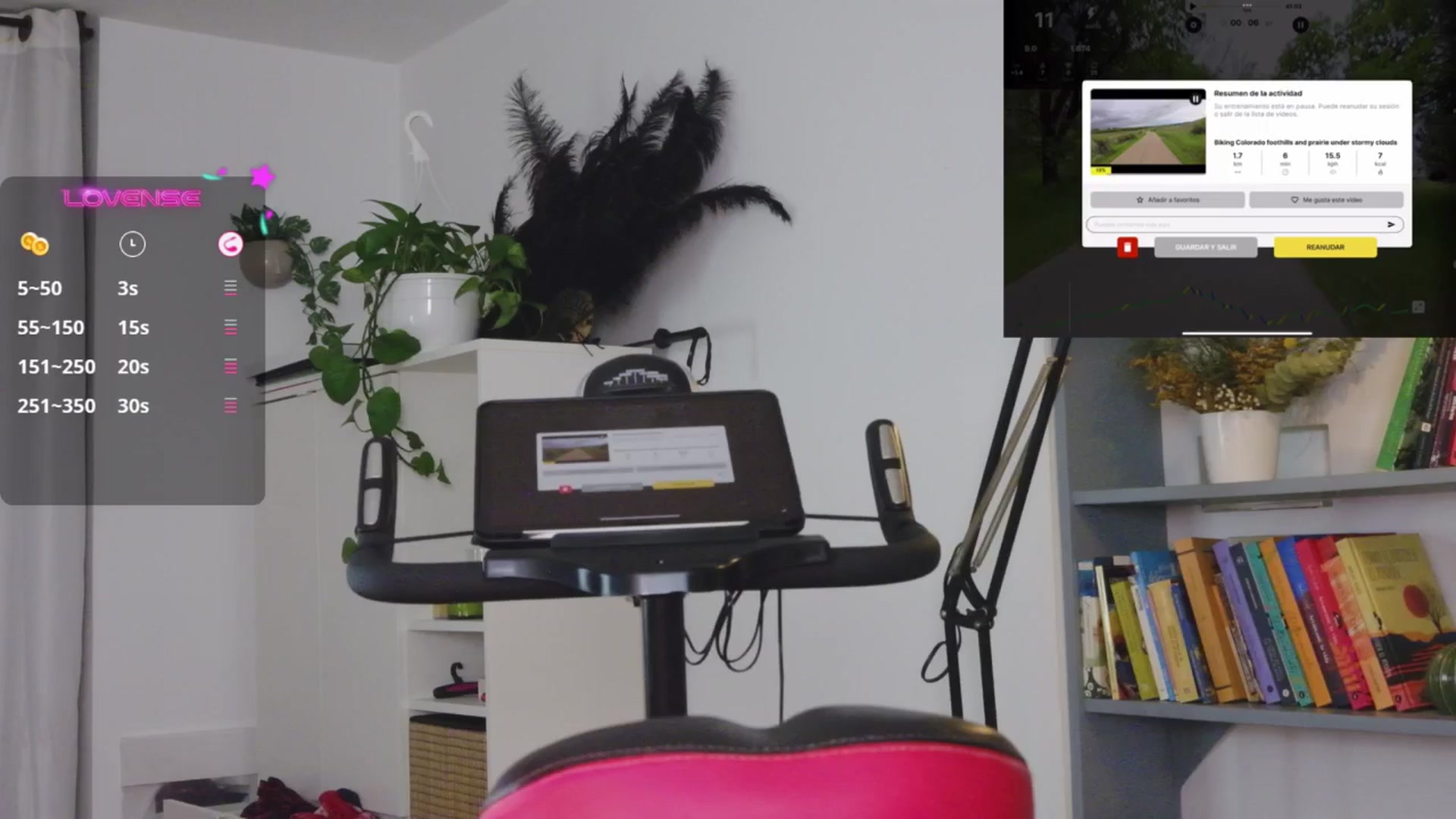 Gallery image thumbnail from Ysabeau's myfreecams stream on, 06/14/2025, 24:55 image 2 of 20