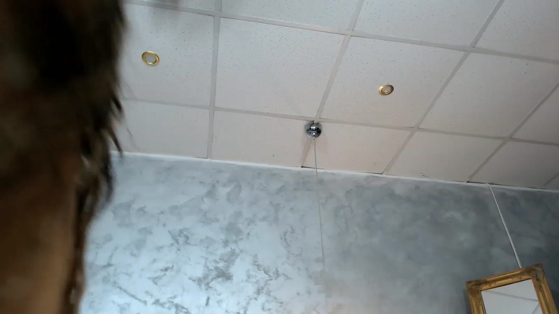 Gallery image thumbnail from Yukenzi's myfreecams stream on, 03/03/2024, 13:12 image 7 of 20