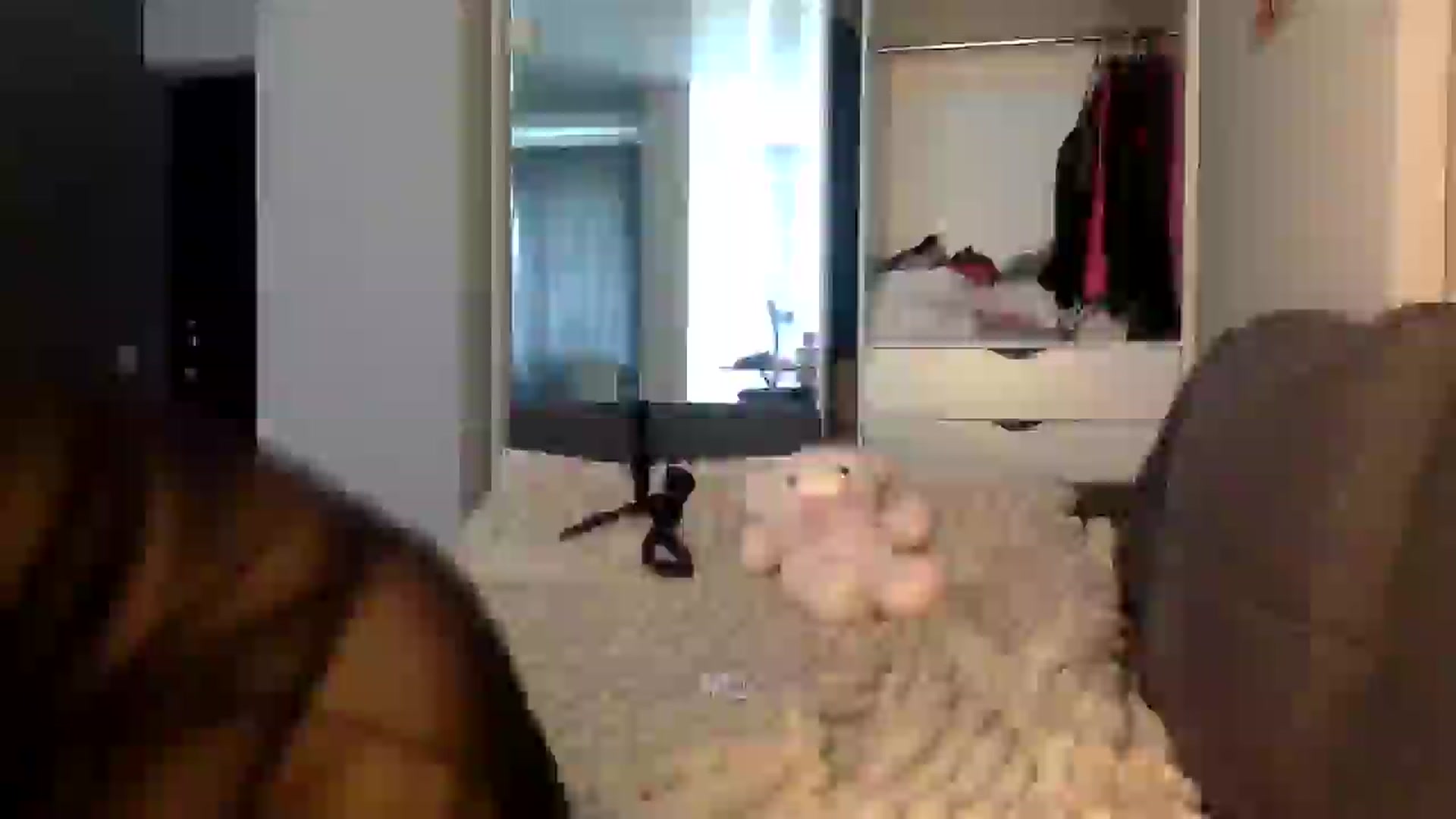 Gallery image thumbnail from YuliaKitty's myfreecams stream on, 07/30/2024, 15:52 image 2 of 20