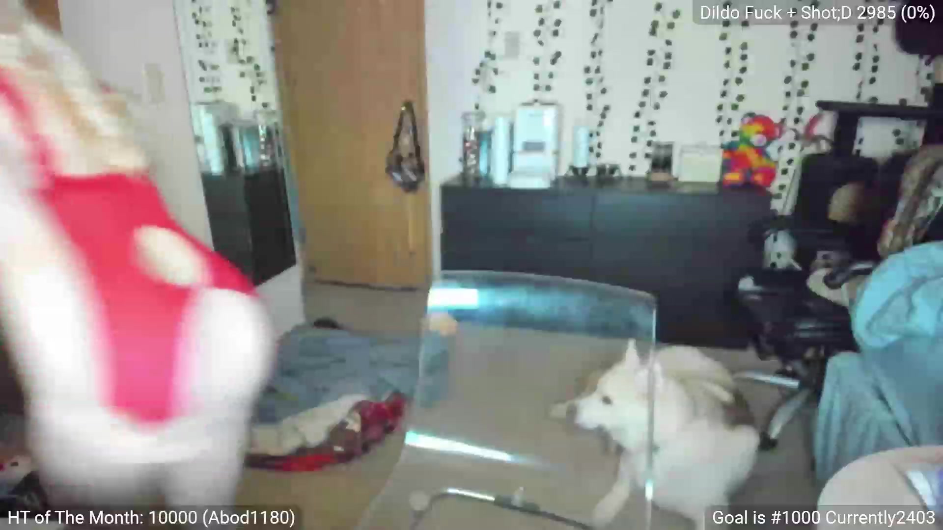 Gallery image thumbnail from YummyDuchass's myfreecams stream on, 02/25/2023, 11:30 image 13 of 20