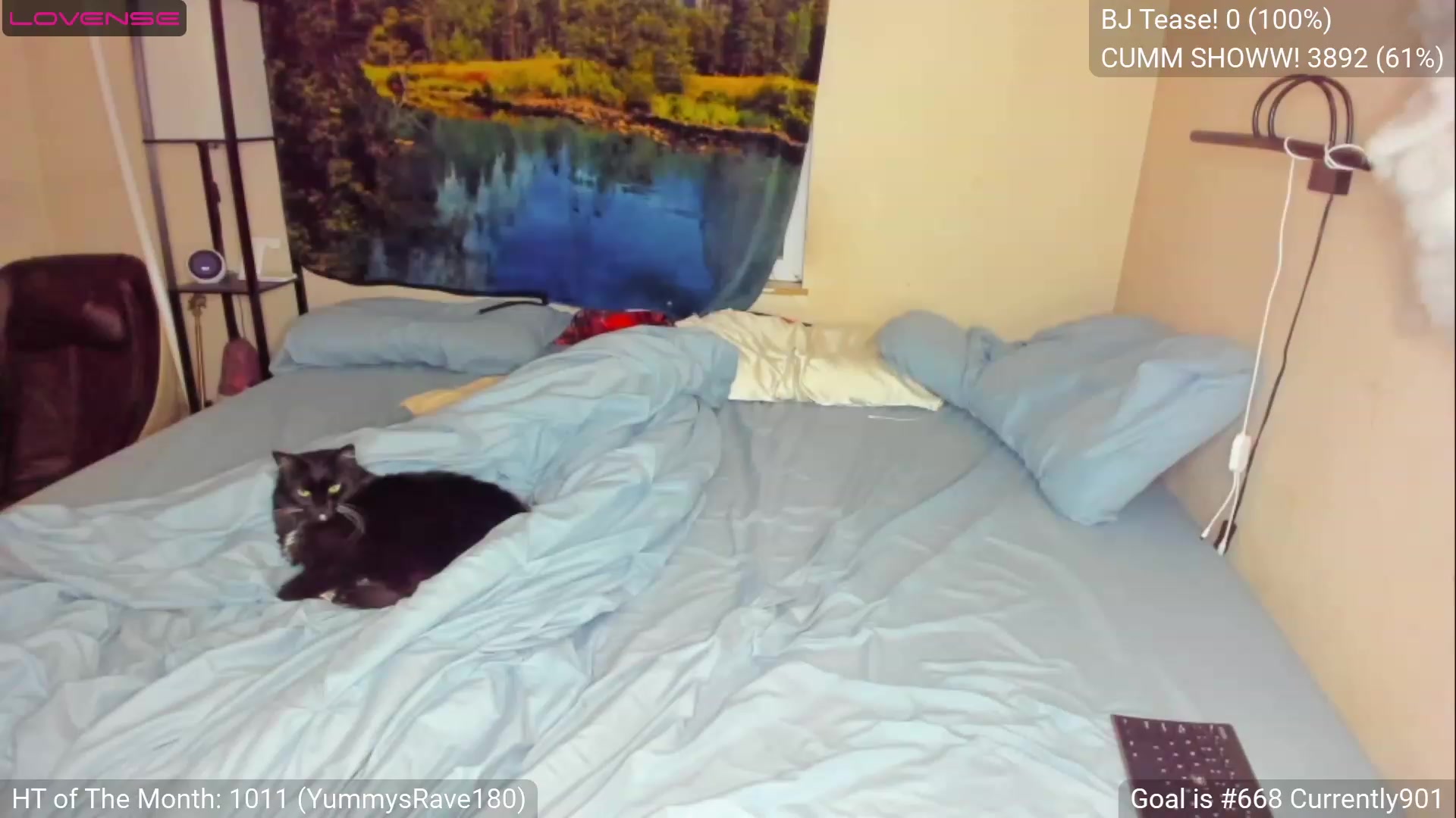 Gallery image thumbnail from YummyDuchass's myfreecams stream on, 04/13/2023, 08:40 image 6 of 20