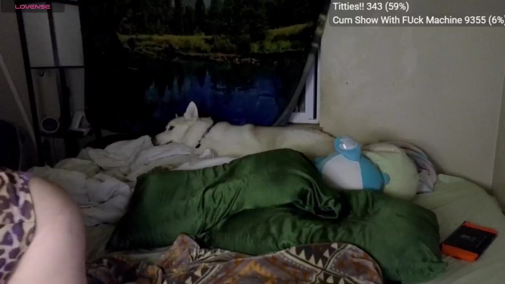 Gallery image thumbnail from YummyDuchass's myfreecams stream on, 11/21/2025, 10:05 image 18 of 20
