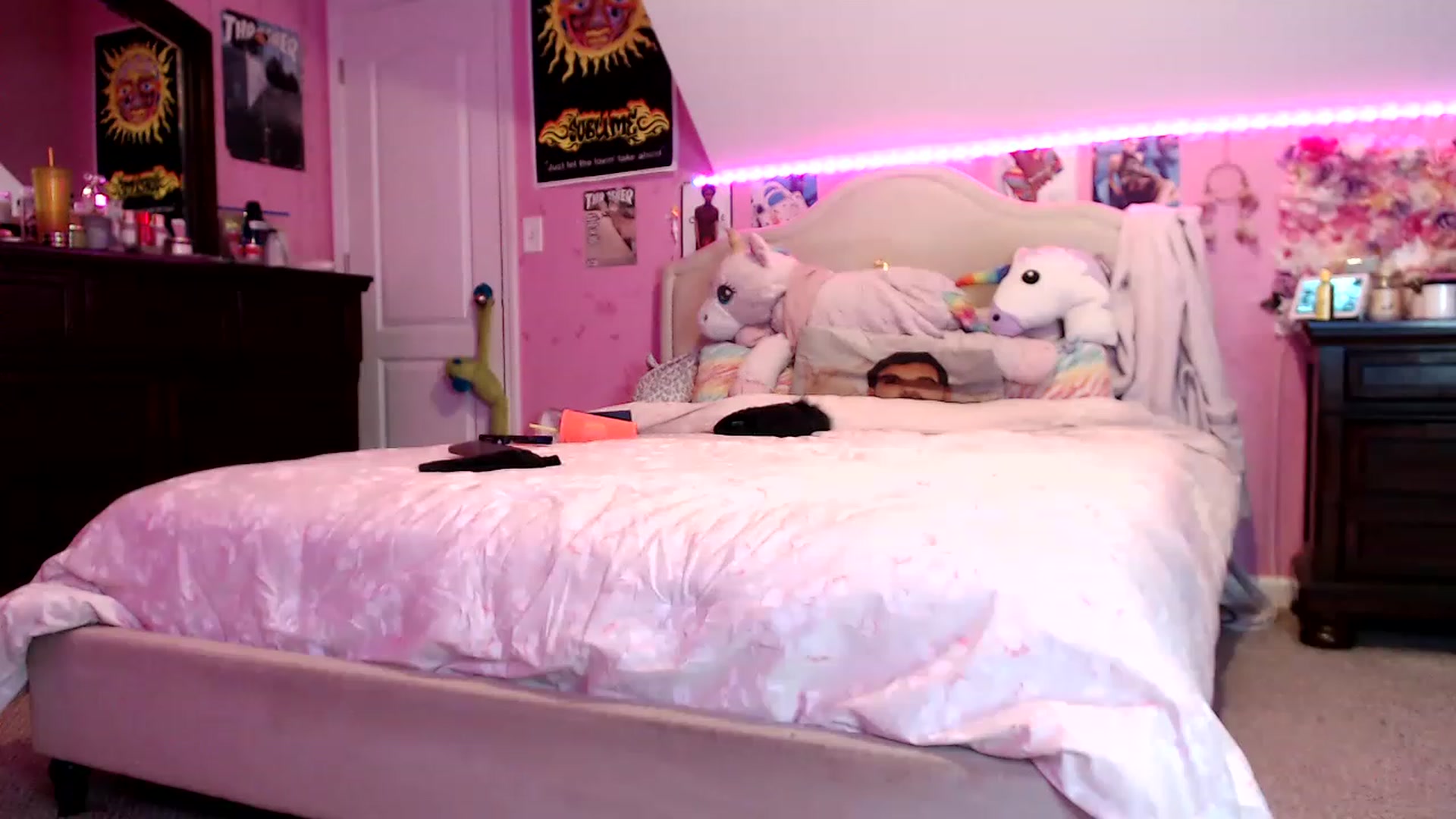 Gallery image thumbnail from YungbabyKush's myfreecams stream on, 01/17/2023, 02:23 image 8 of 20