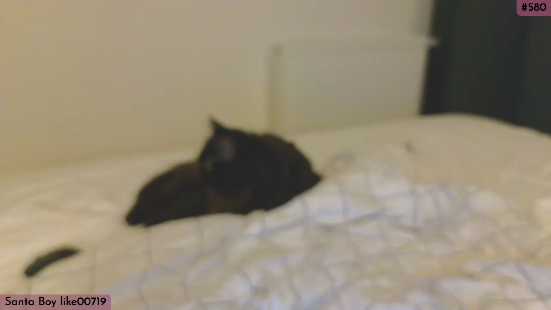 Gallery image thumbnail from Yuri_BDay's myfreecams stream on, 01/14/2024, 05:24 image 20 of 20