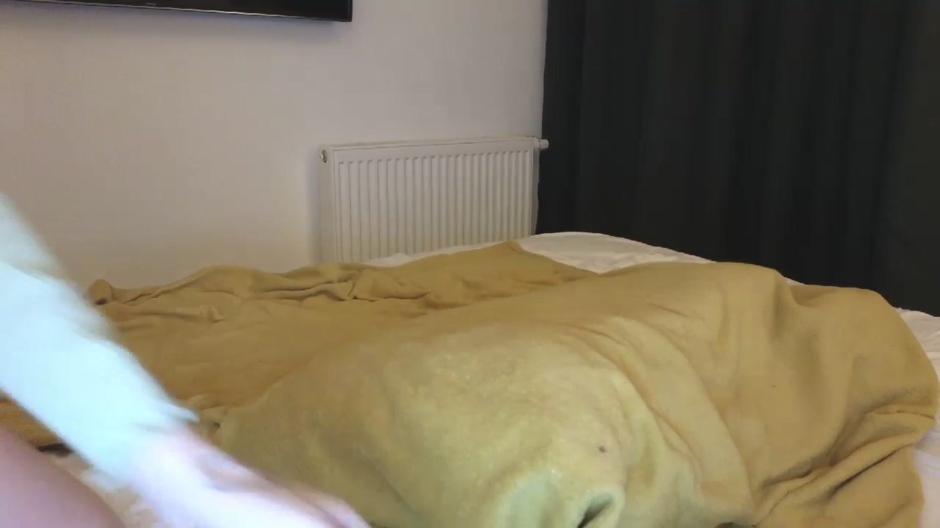 Gallery image thumbnail from Yuri_elfie's myfreecams stream on, 06/19/2024, 03:46 image 6 of 20